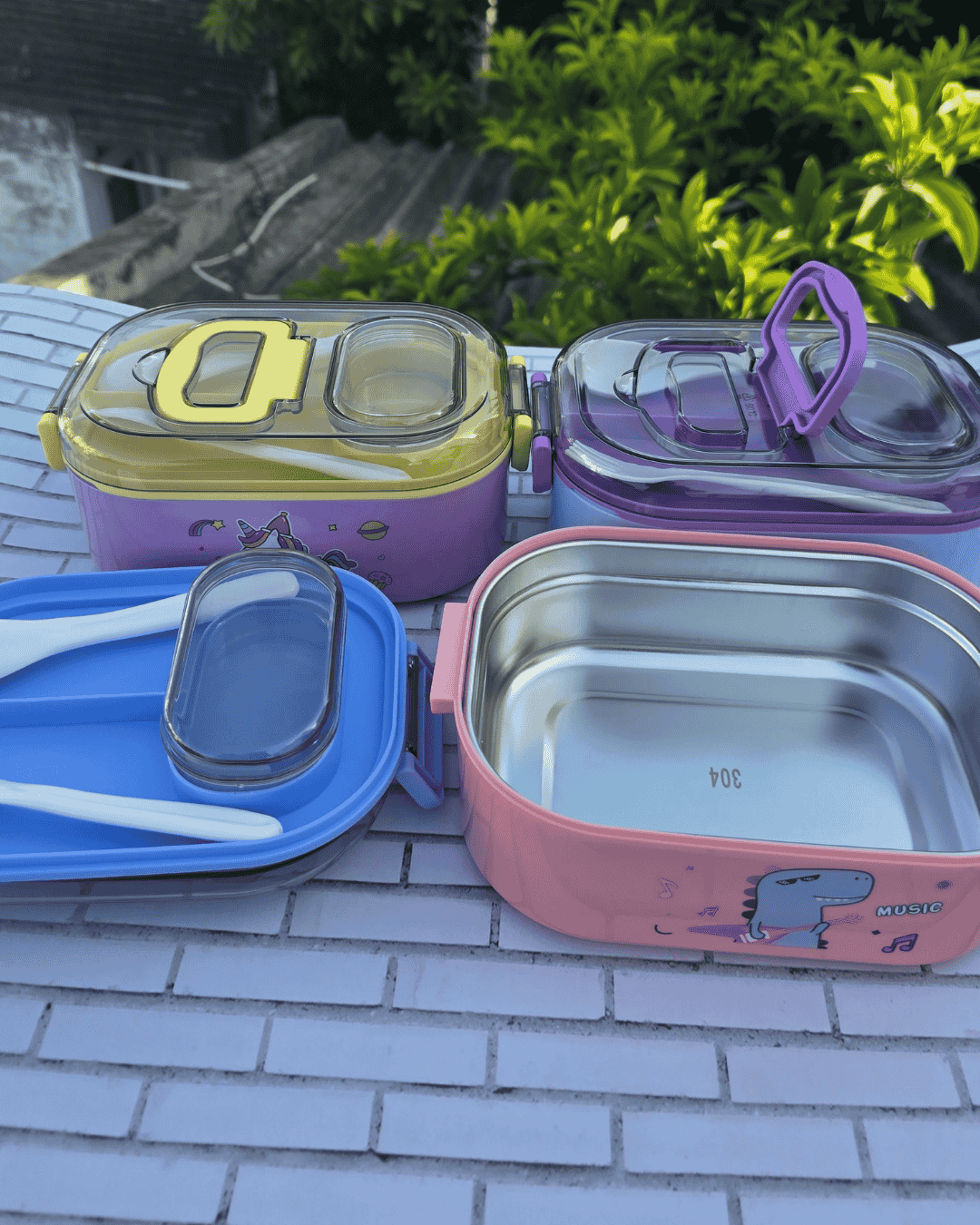 Meal Lunch Box