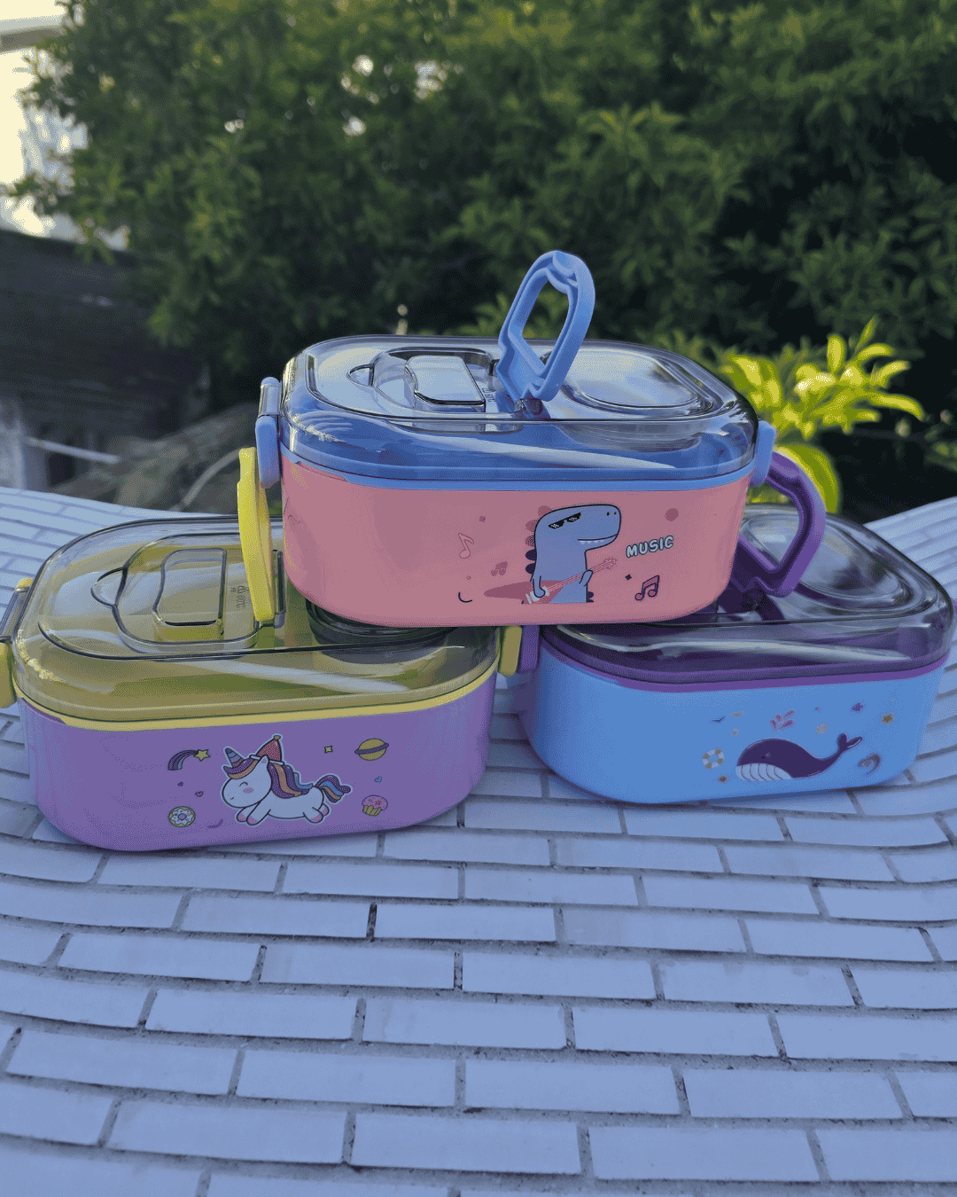 Meal Lunch Box