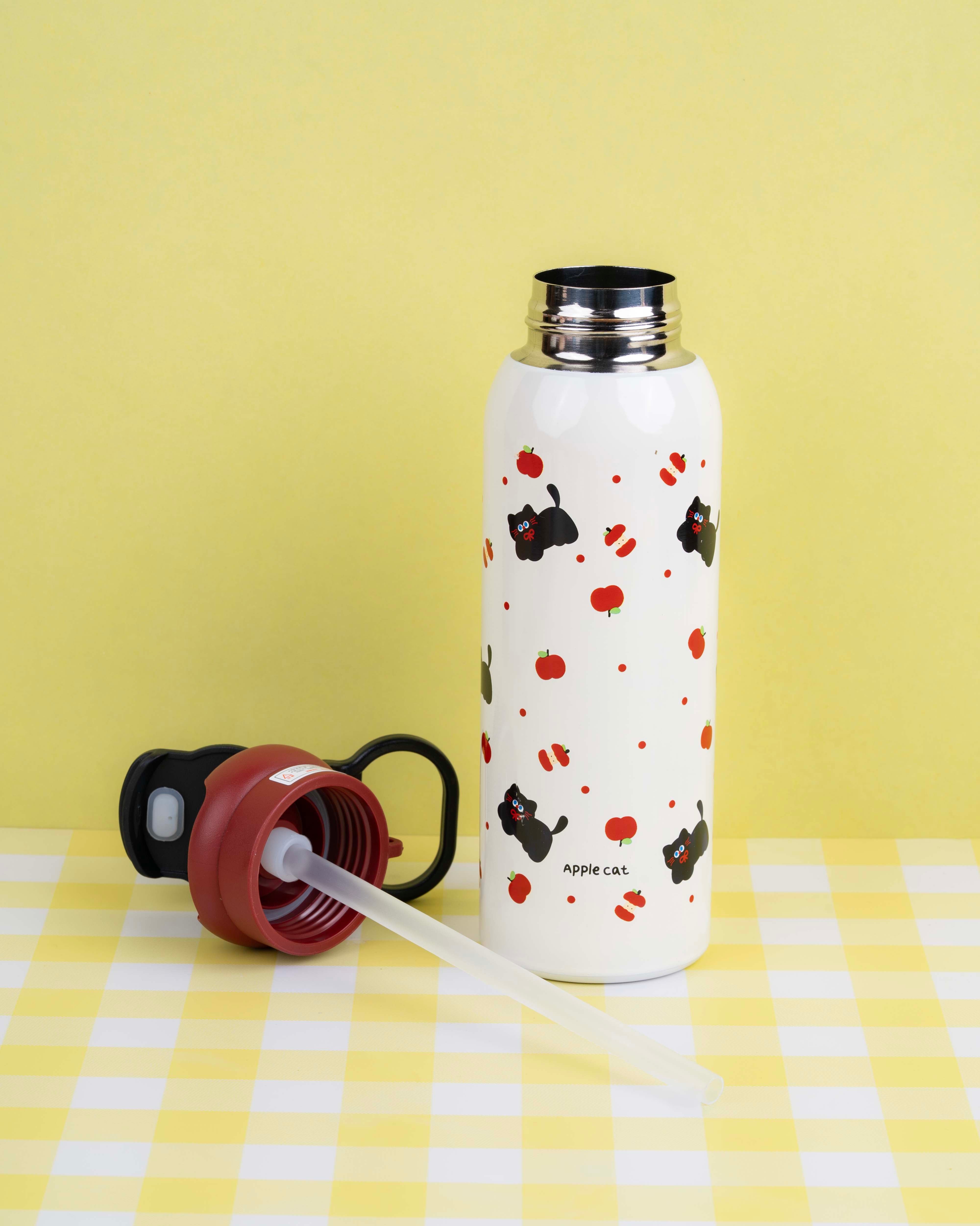 600 ML Vacuum Insulated Sipper Bottle
