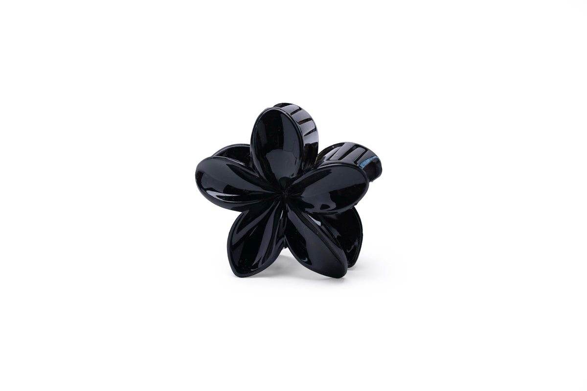 Transparent Floral - Large