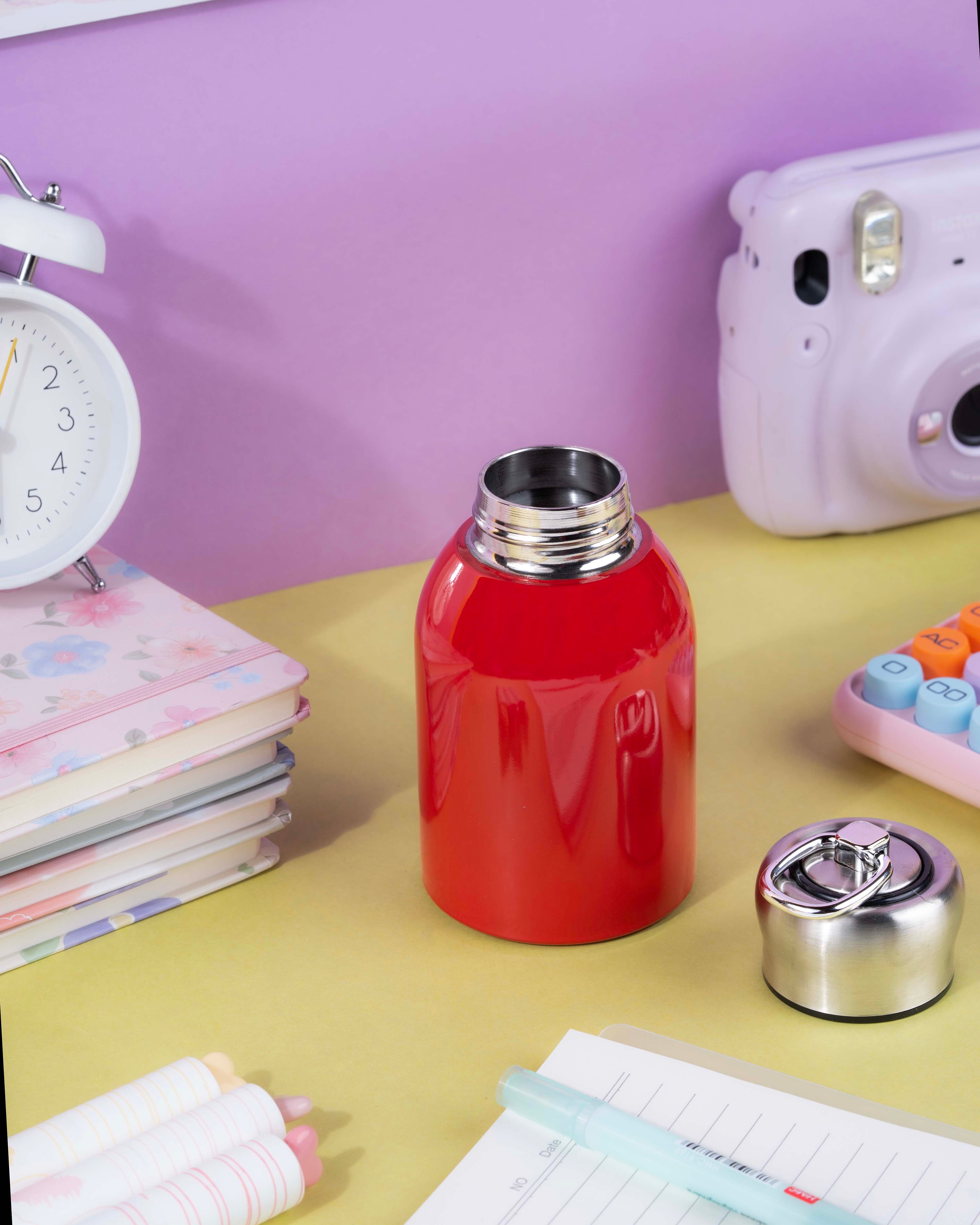 300 ML Stainless Steel Insulated Bottle