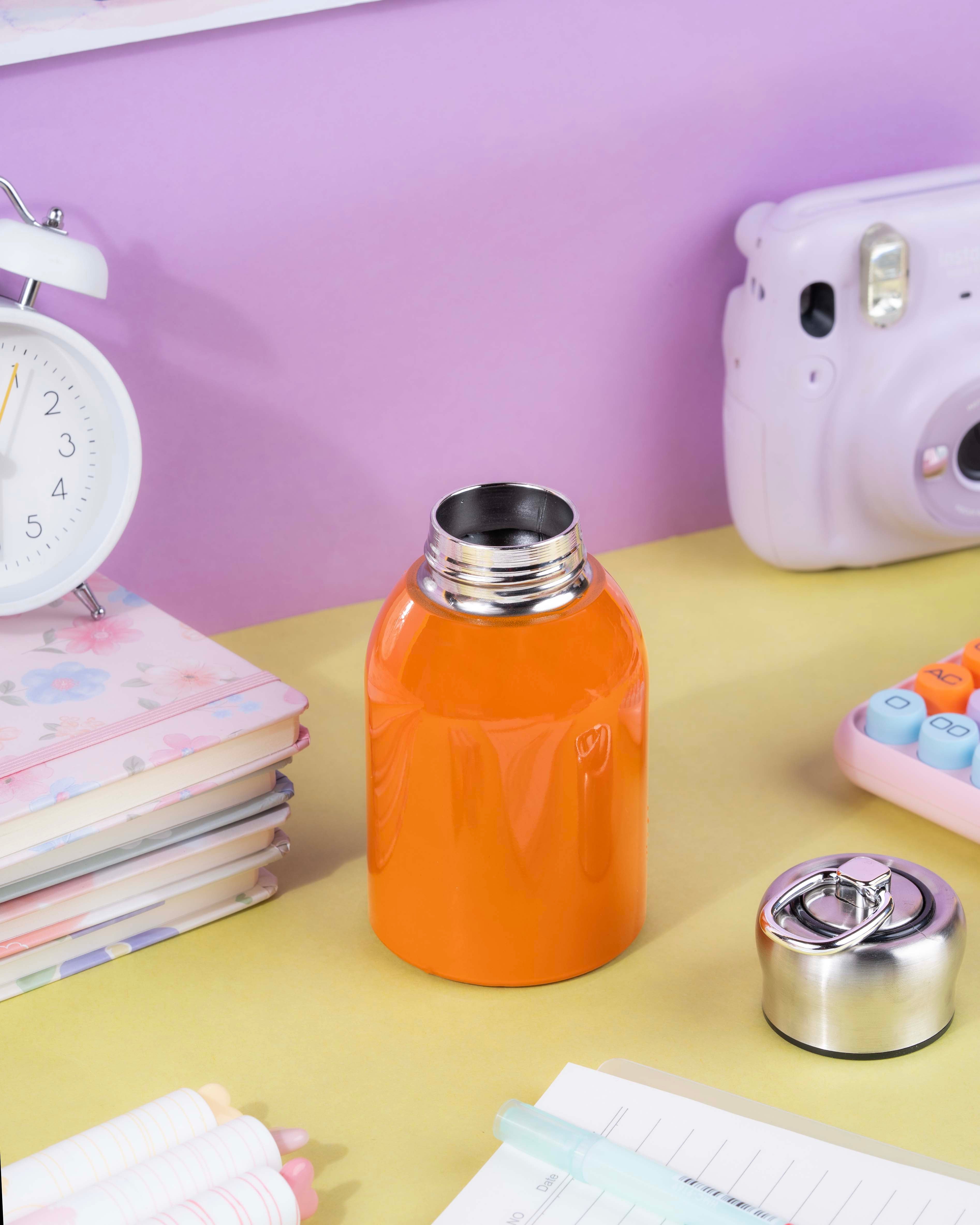 300 ML Stainless Steel Insulated Bottle