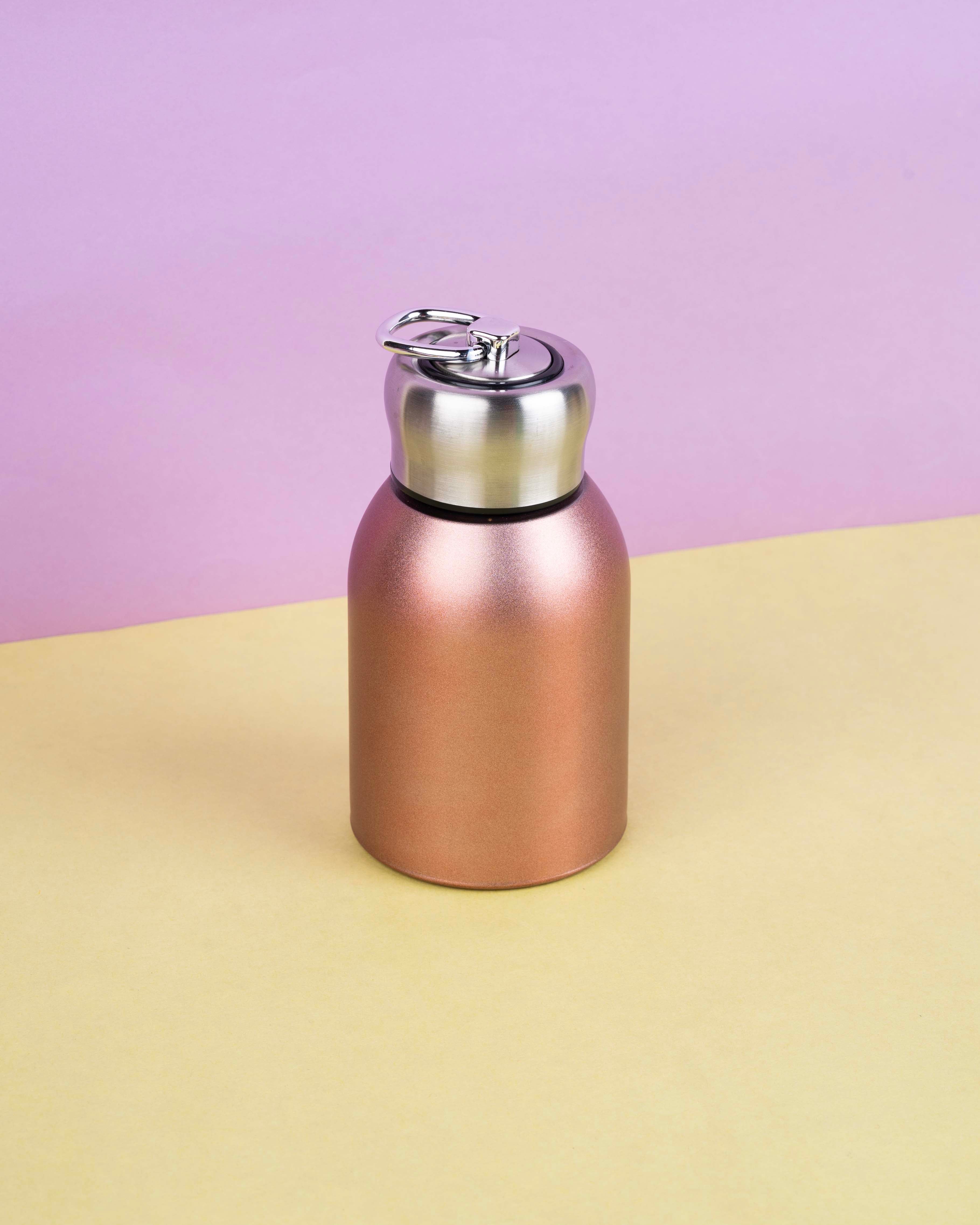 300 ML Stainless Steel Insulated Bottle