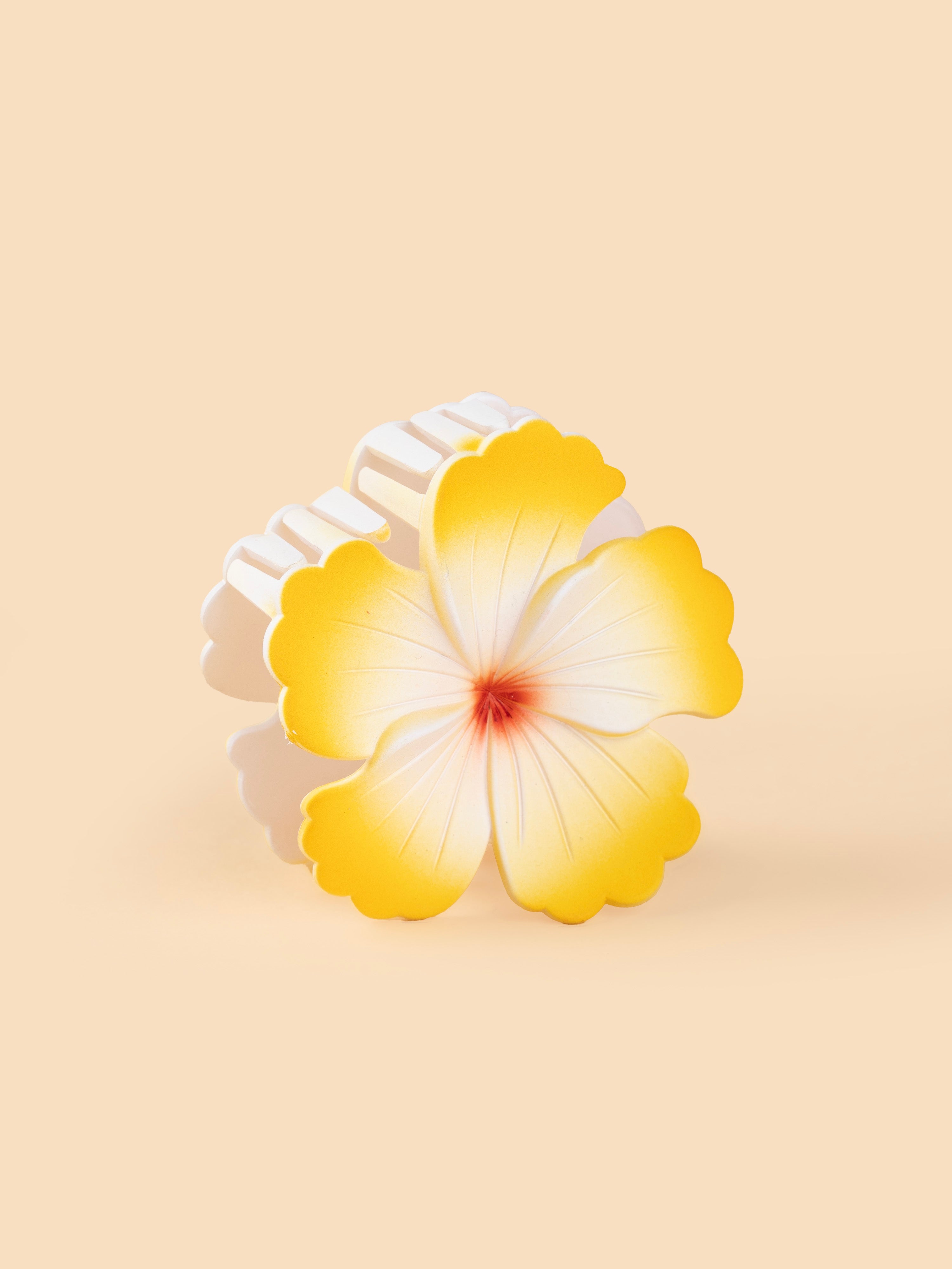 Hibiscus Matte Bloom - Large