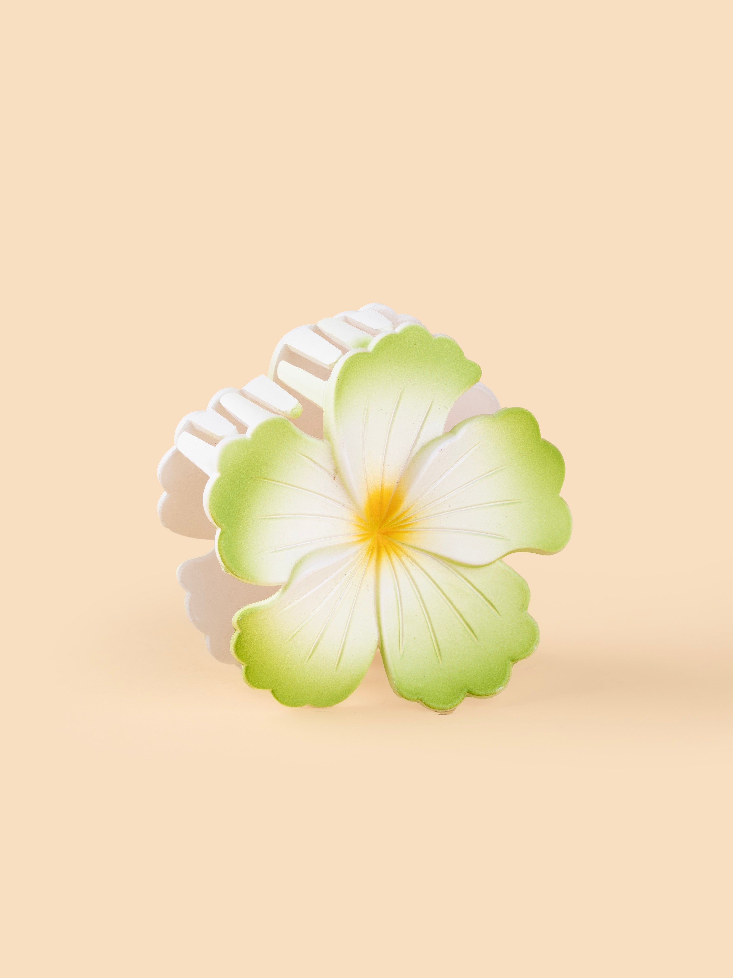 Hibiscus Matte Bloom - Large