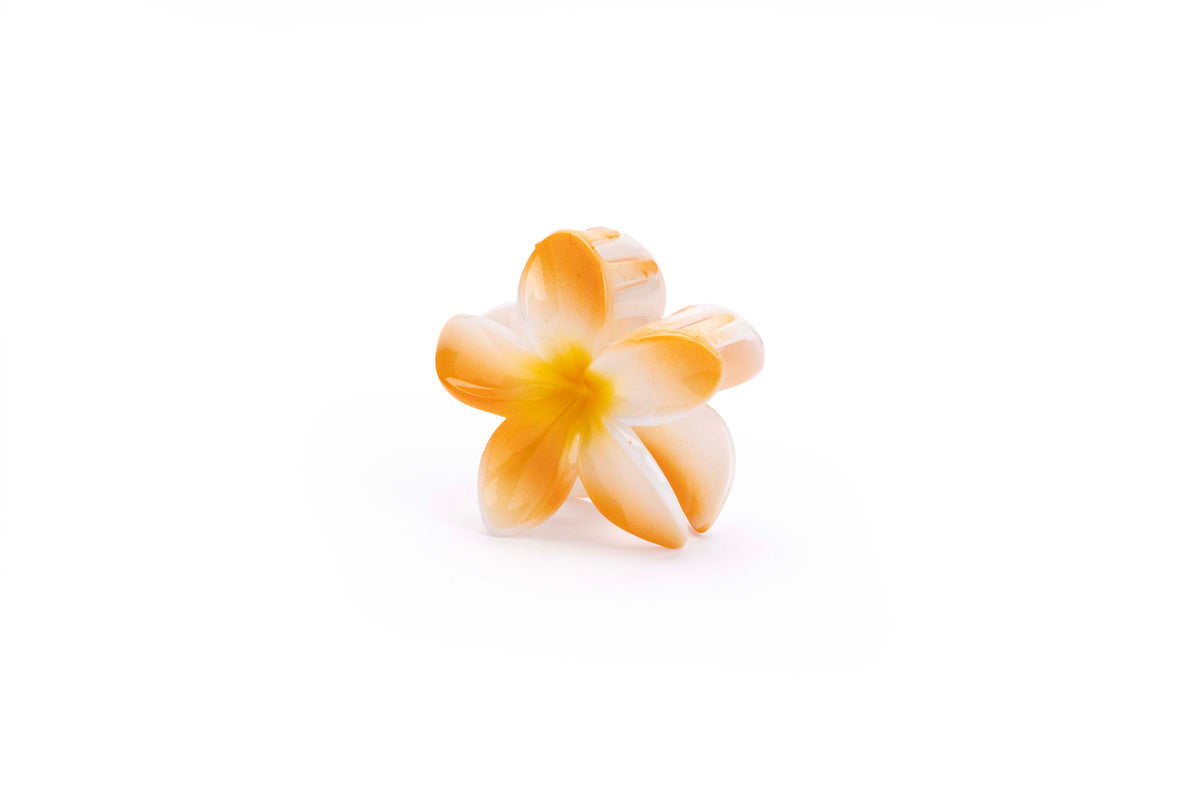 Gradient Plumeria Hair Claw Clip Set – 3 Pieces