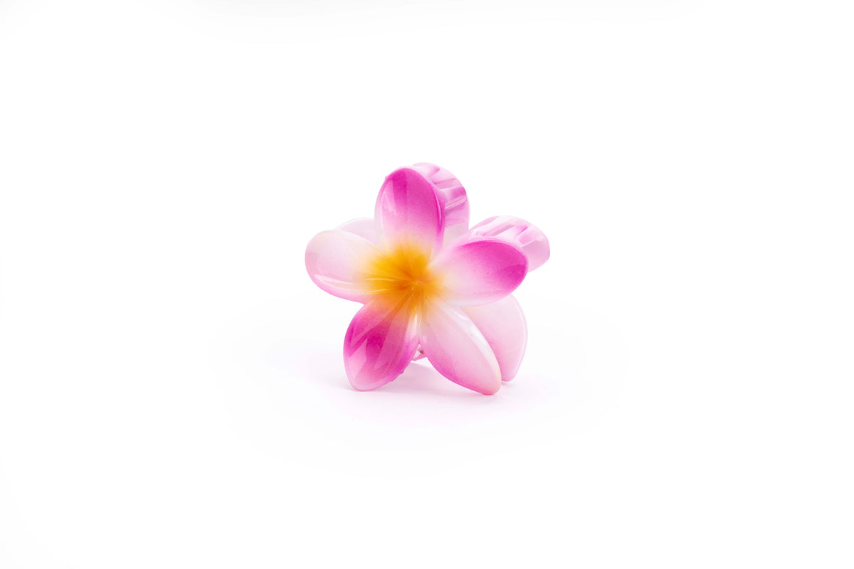 Gradient Plumeria Hair Claw Clip Set – 3 Pieces