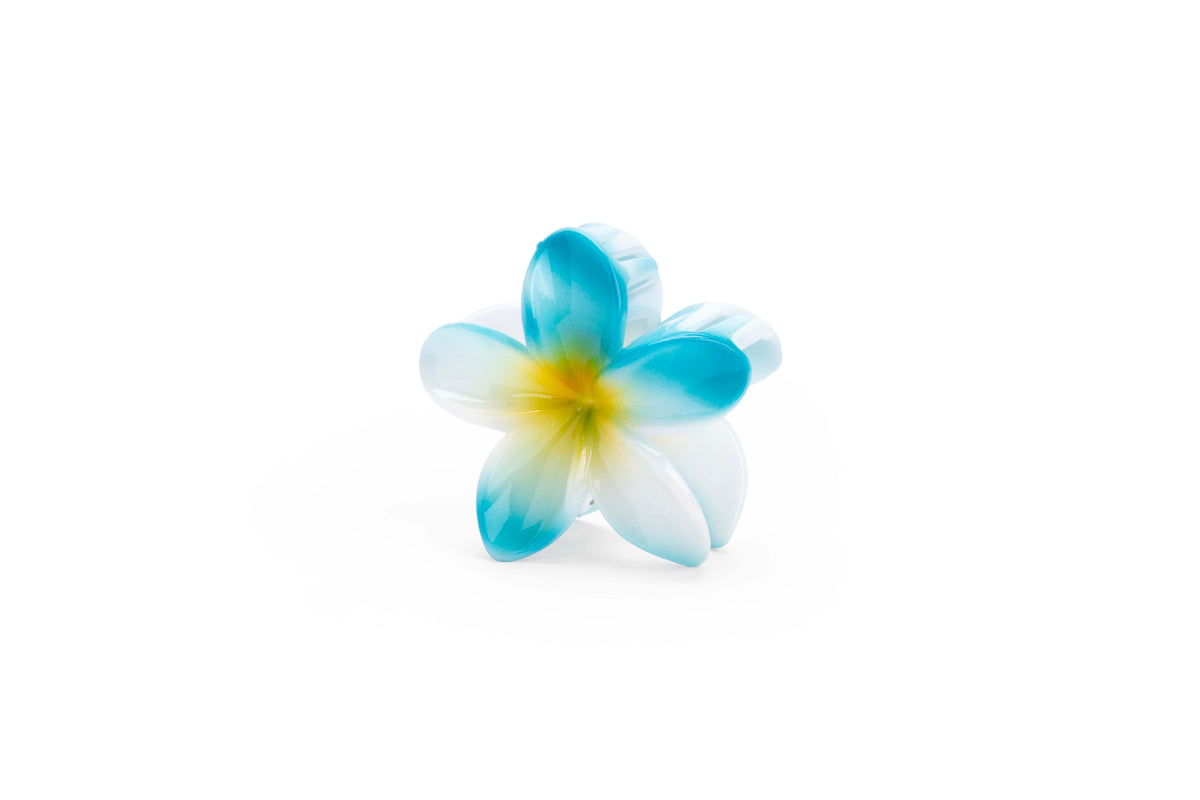 Gradient Plumeria Hair Claw Clip Set – 3 Pieces
