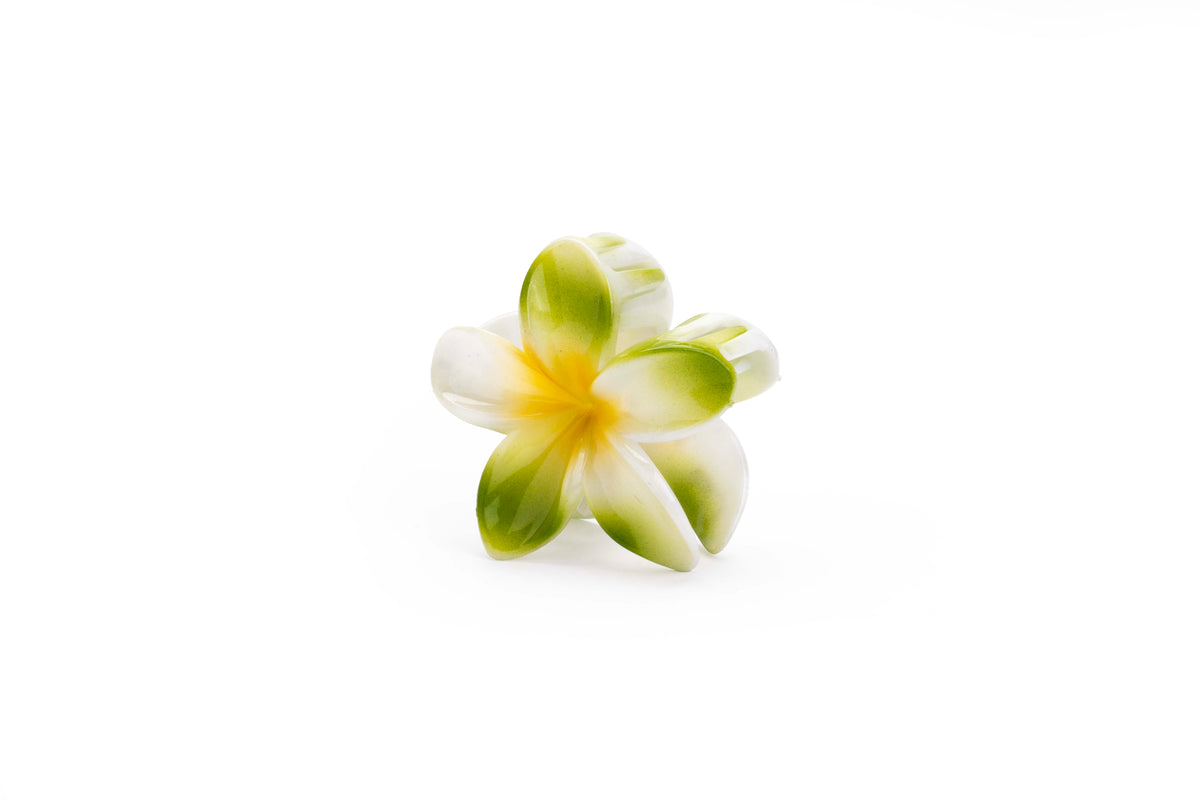 Gradient Plumeria Hair Claw Clip Set – 3 Pieces