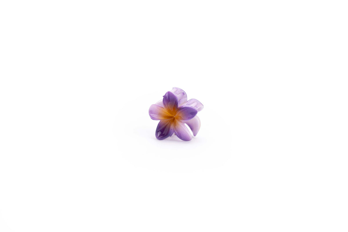 Gradient Plumeria Hair Claw Clip Set – 3 Pieces