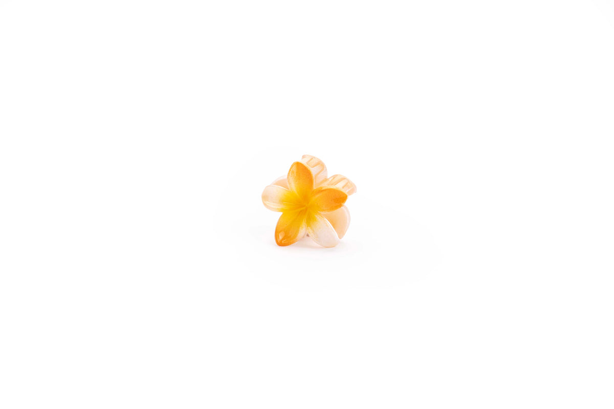 Gradient Plumeria Hair Claw Clip Set – 3 Pieces