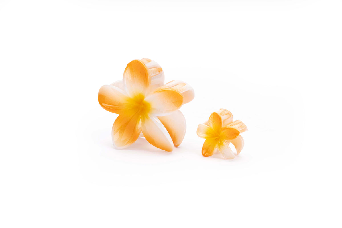 Gradient Plumeria Hair Claw Clip Set – 3 Pieces