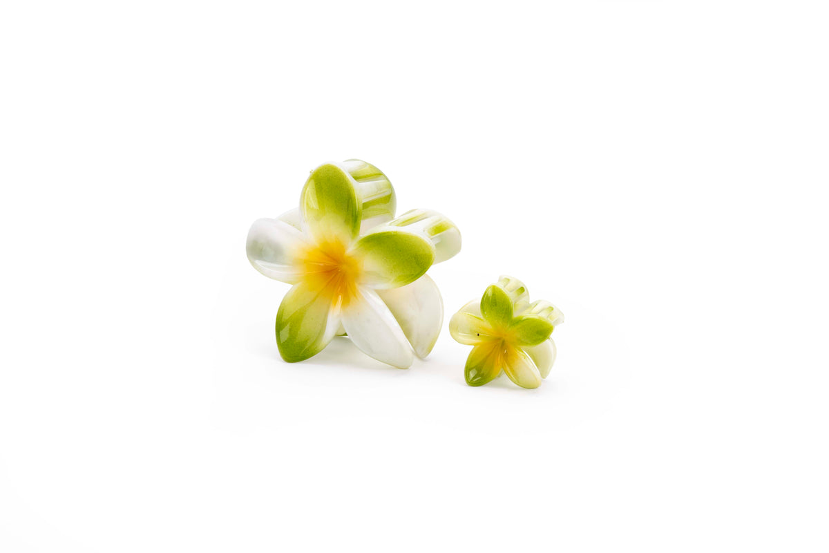 Gradient Plumeria Hair Claw Clip Set – 3 Pieces