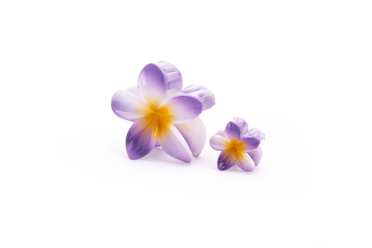 Gradient Plumeria Hair Claw Clip Set – 3 Pieces