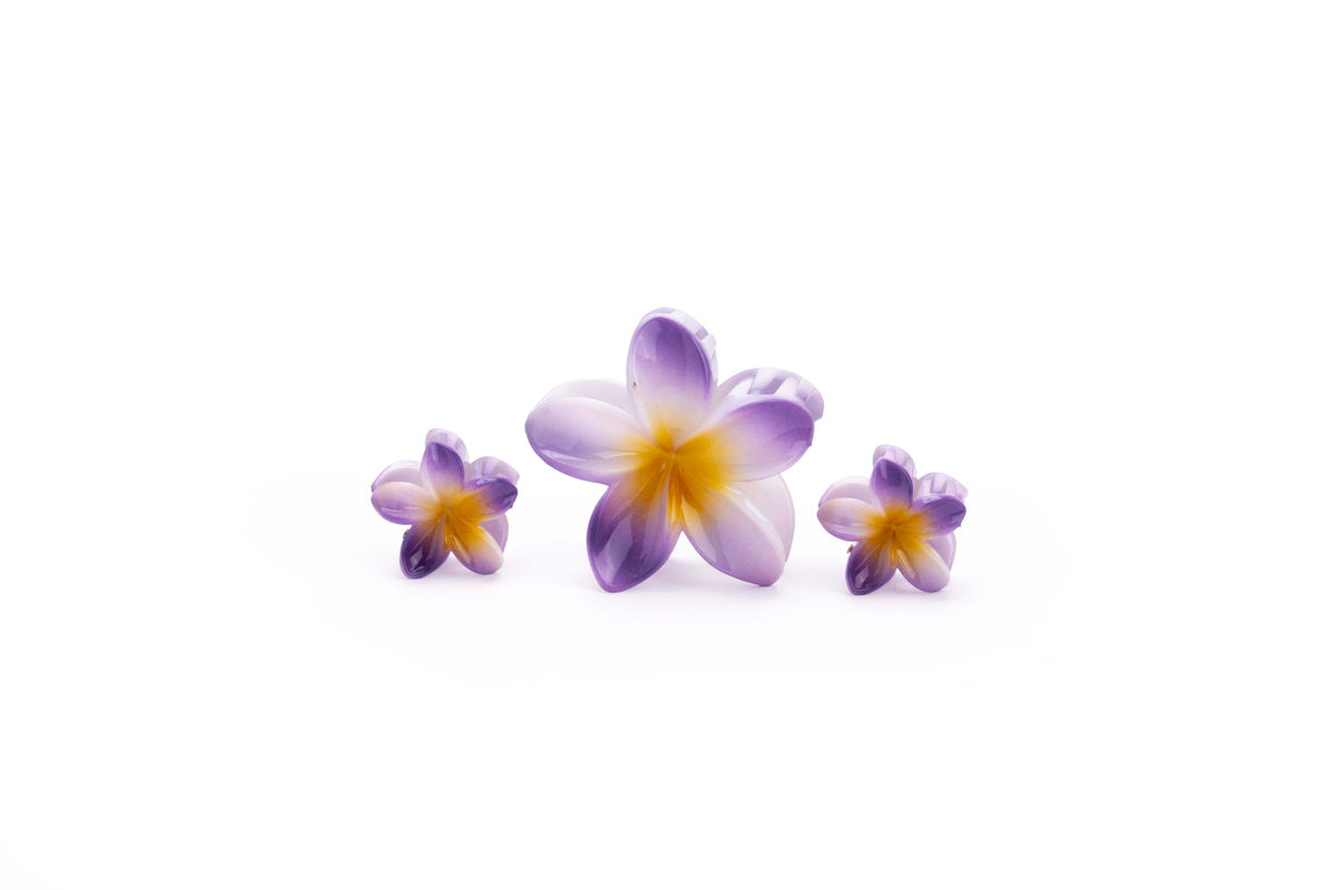 Gradient Plumeria Hair Claw Clip Set – 3 Pieces