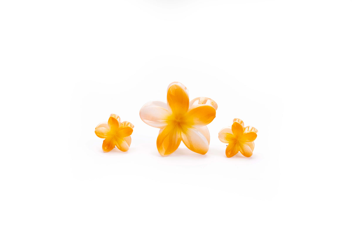 Gradient Plumeria Hair Claw Clip Set – 3 Pieces