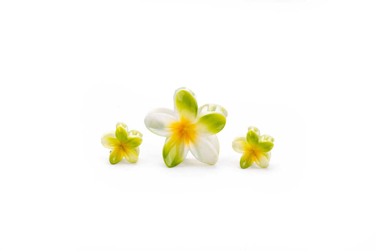 Gradient Plumeria Hair Claw Clip Set – 3 Pieces