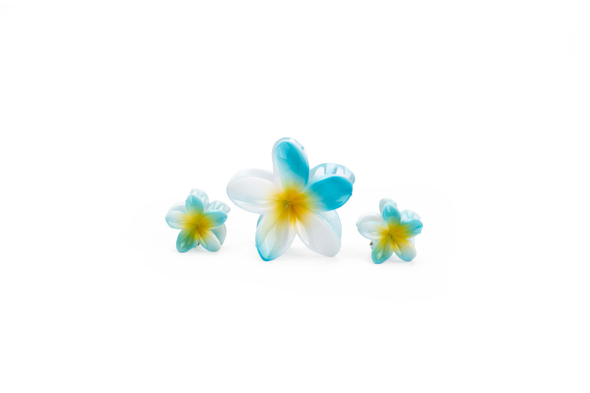 Gradient Plumeria Hair Claw Clip Set – 3 Pieces