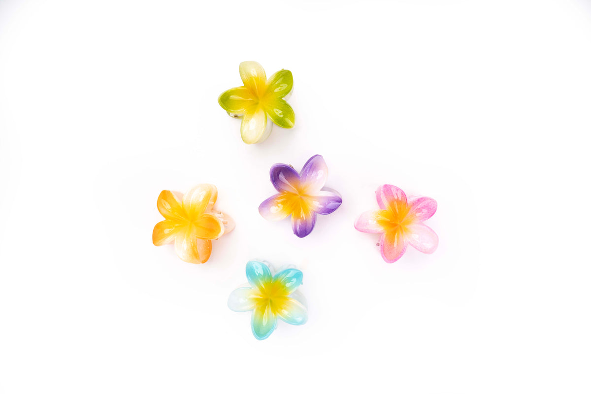 Gradient Plumeria Hair Claw Clip Set – 3 Pieces