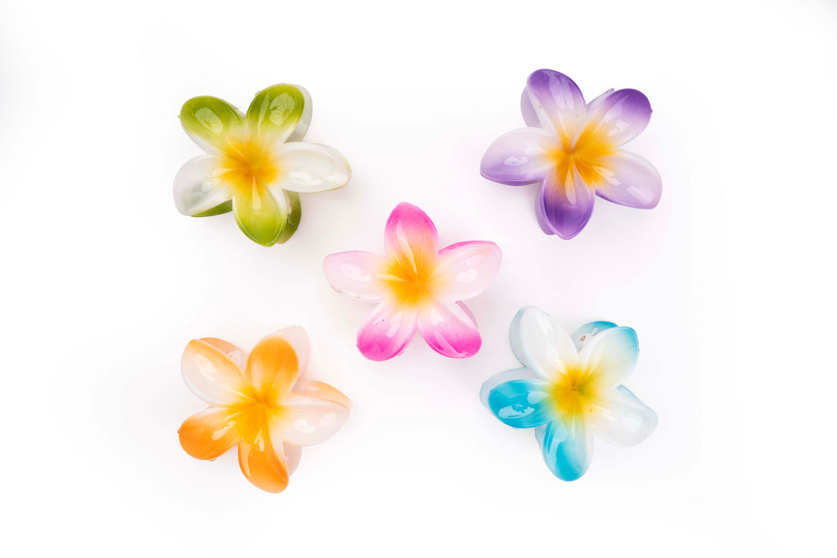 Gradient Plumeria Hair Claw Clip Set – 3 Pieces