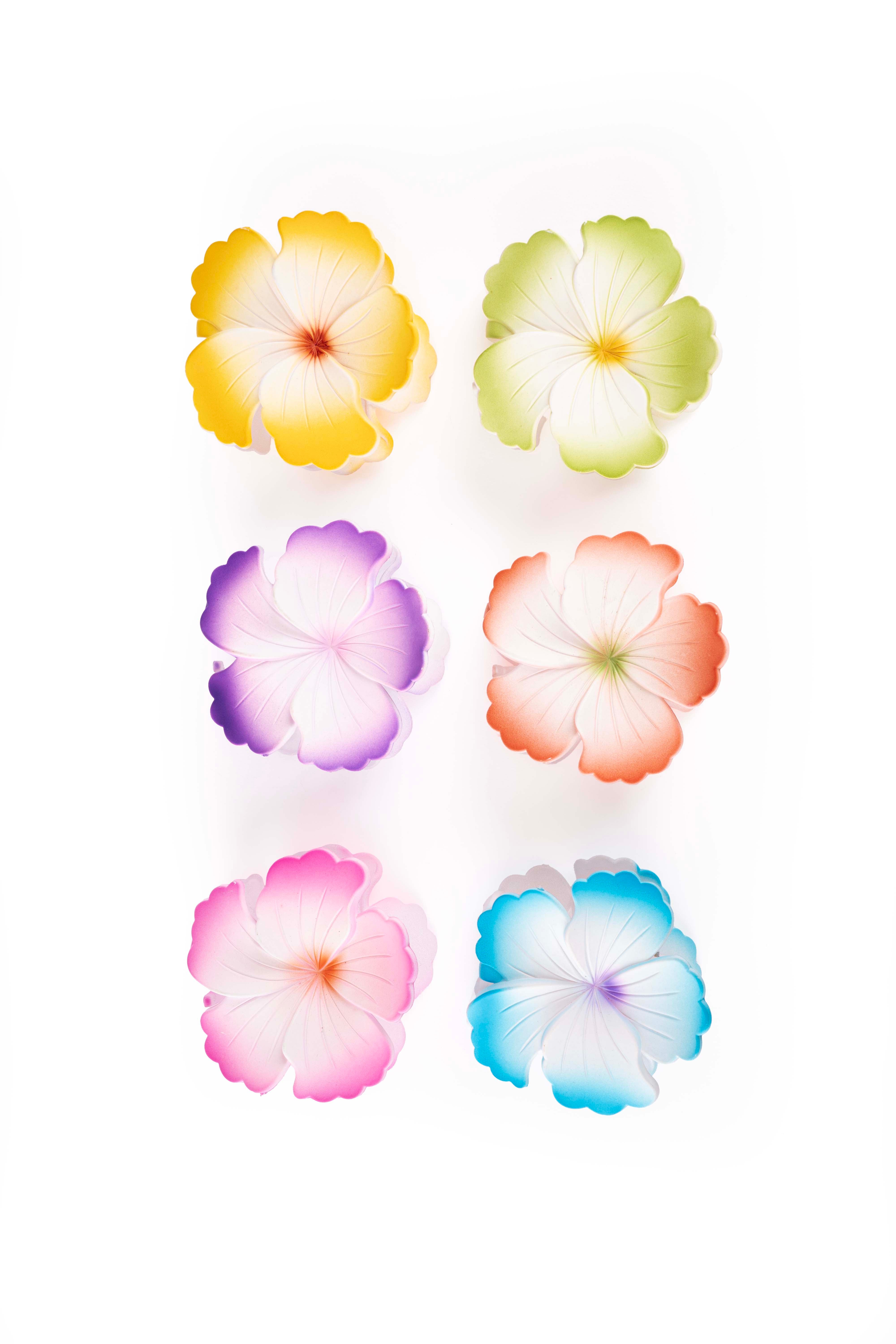 Hibiscus Matte Bloom - Large