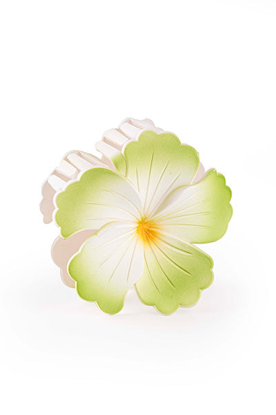 Hibiscus Matte Bloom - Large
