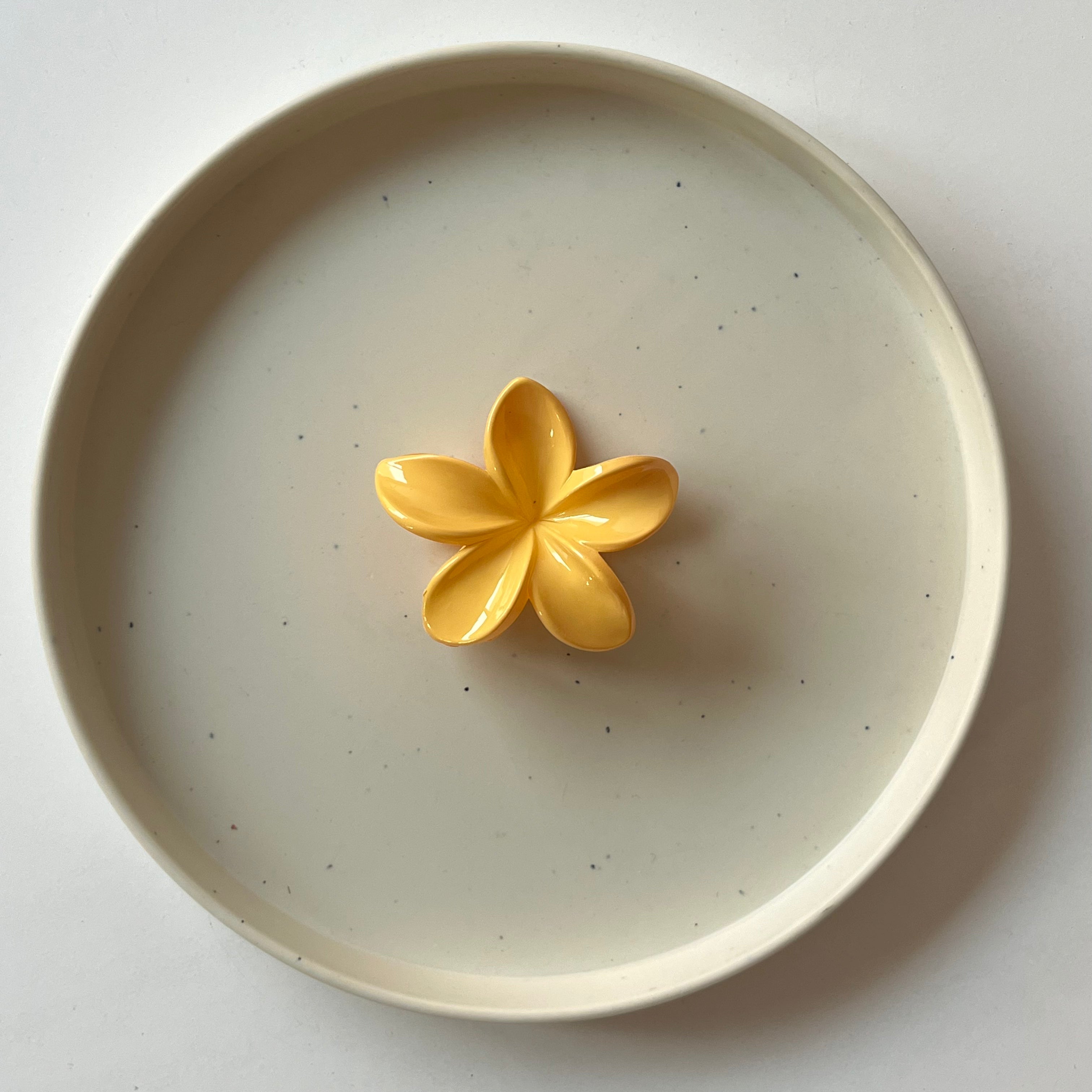 Gloss Bloom Medium Hair Claw