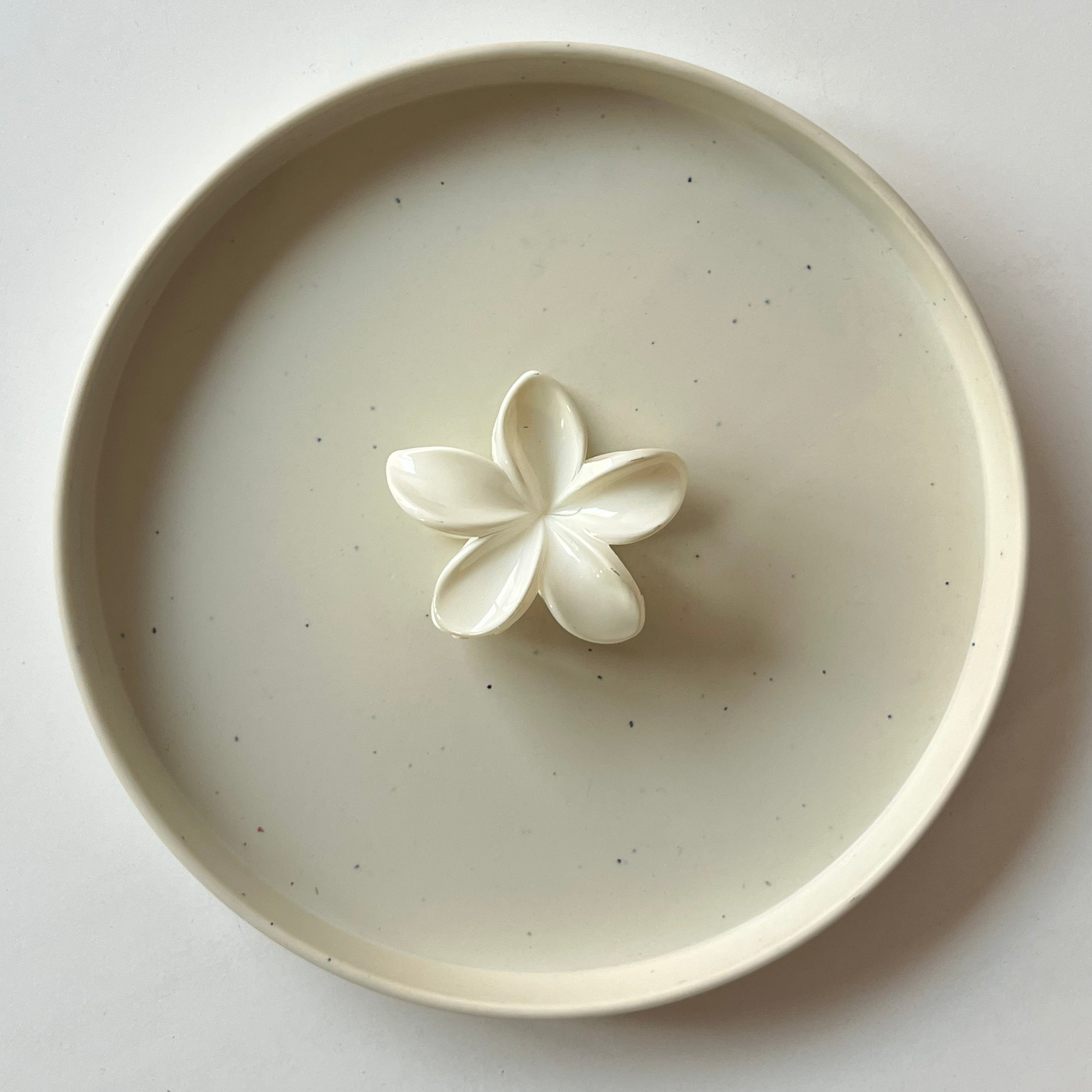 Gloss Bloom Medium Hair Claw