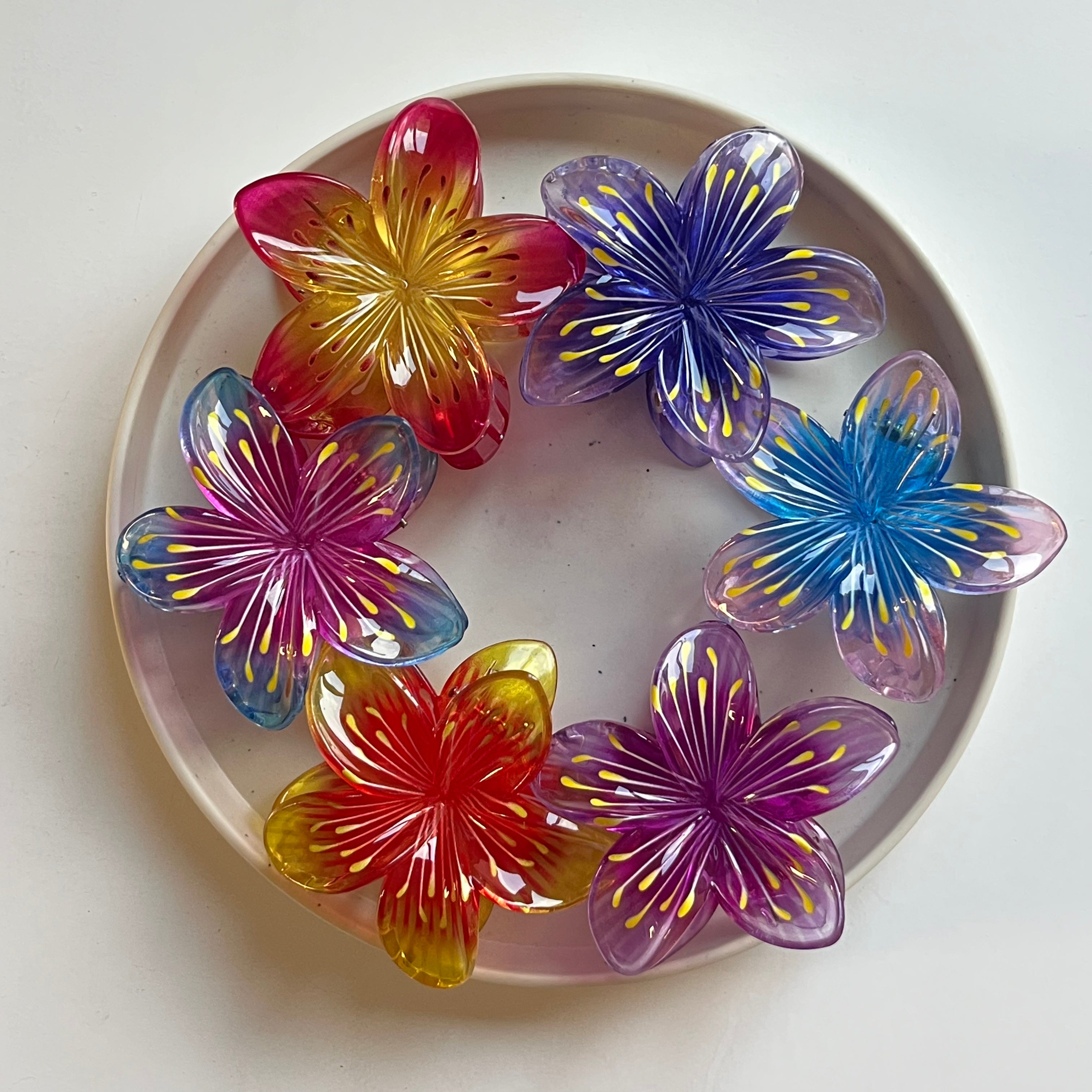 Radiant Petal Bloom Hair Claw Set of 6 Pcs