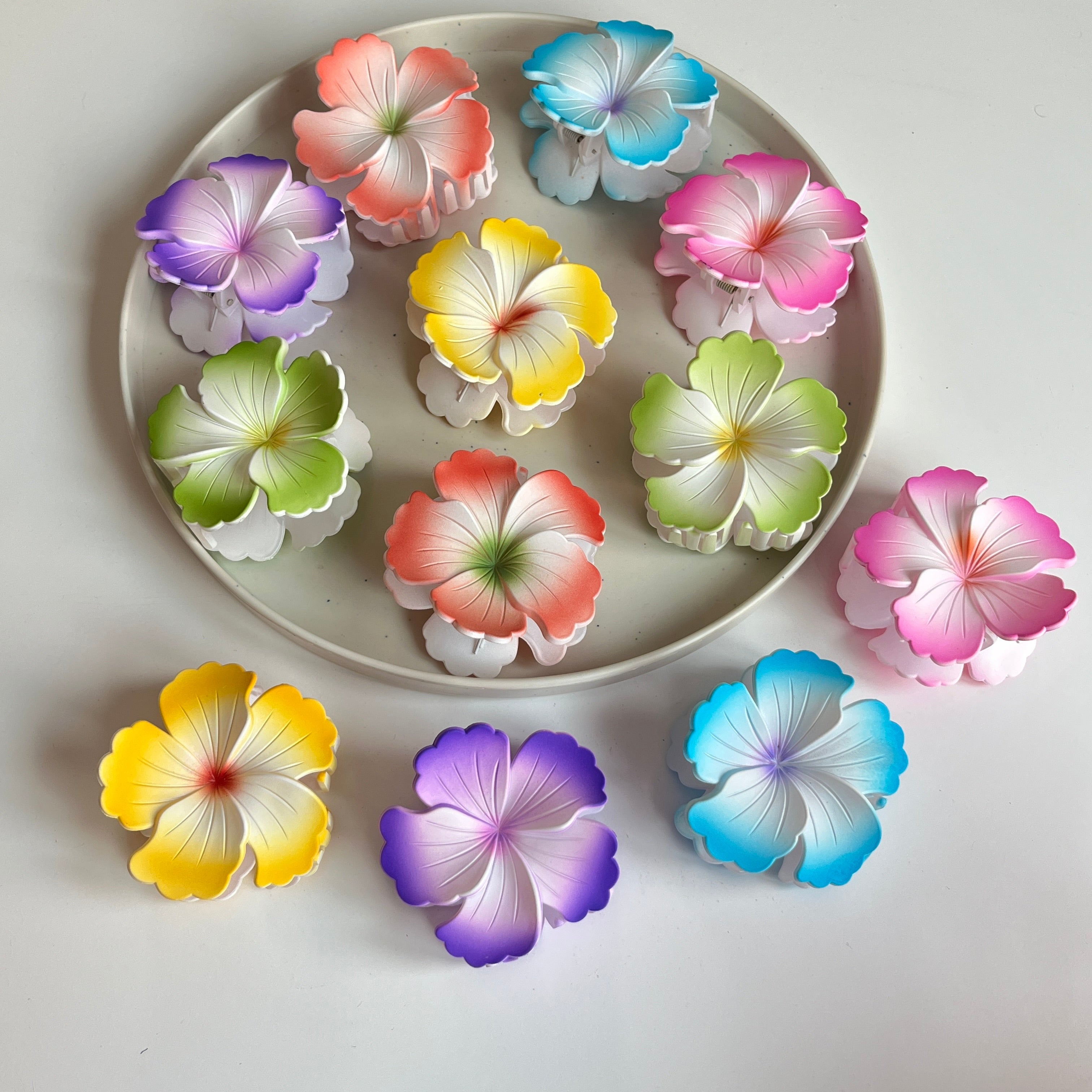Ombre Petal Large Hair Claw Set (12 Pcs)
