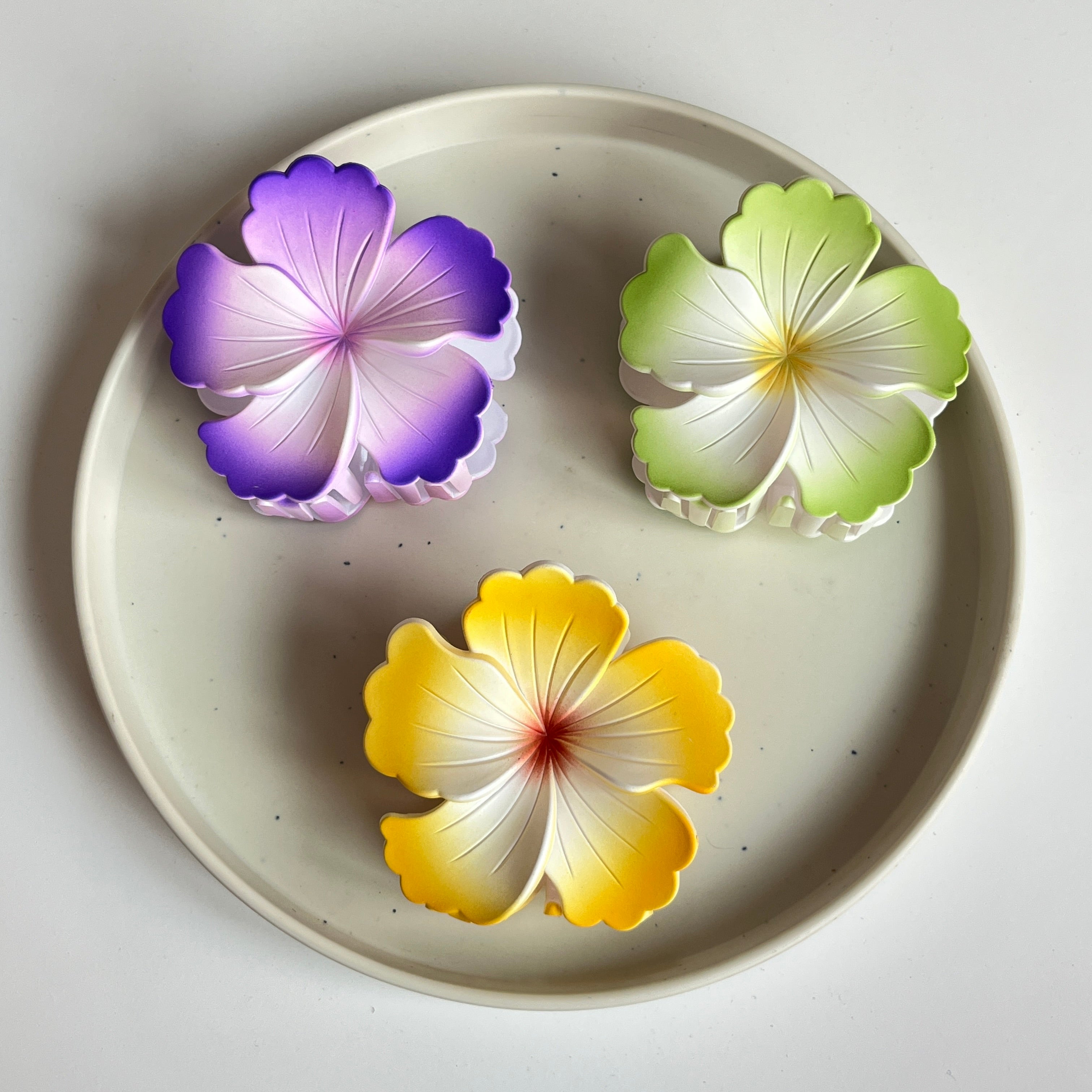 Ombre Petal Large Hair Claw Set (6 Pcs)