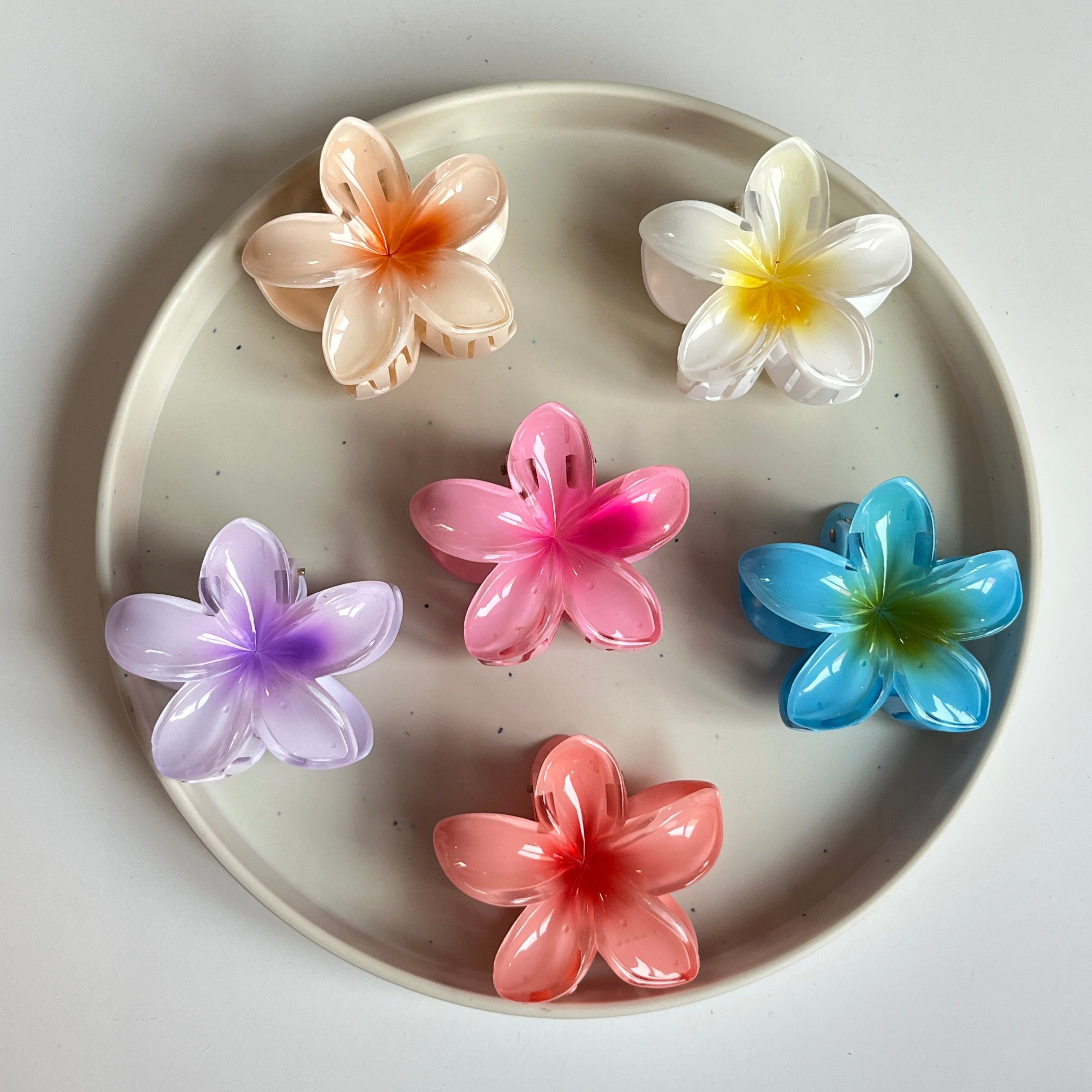 Gloss Bloom Flower Medium Hair Claw Set (6 Pcs)