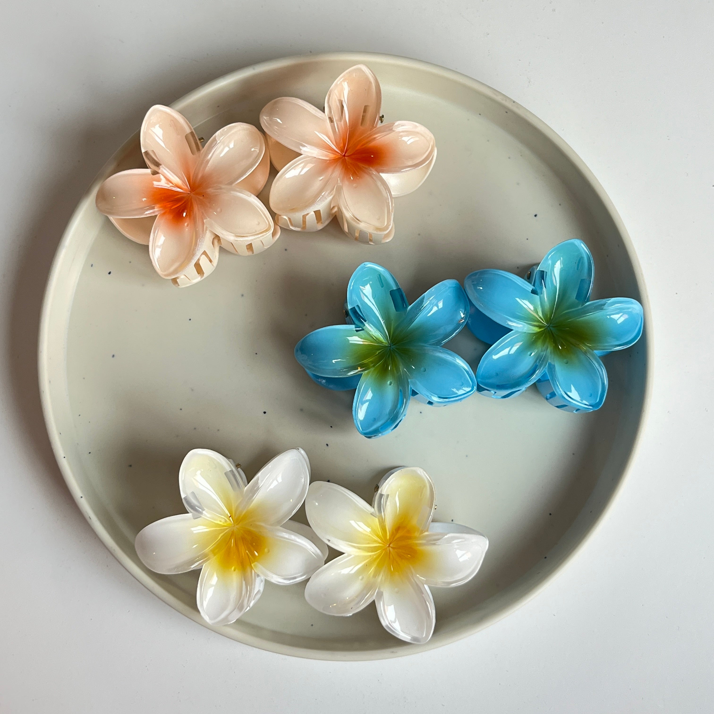 Gloss Bloom Flower Medium Hair Claw Set (12 Pcs)