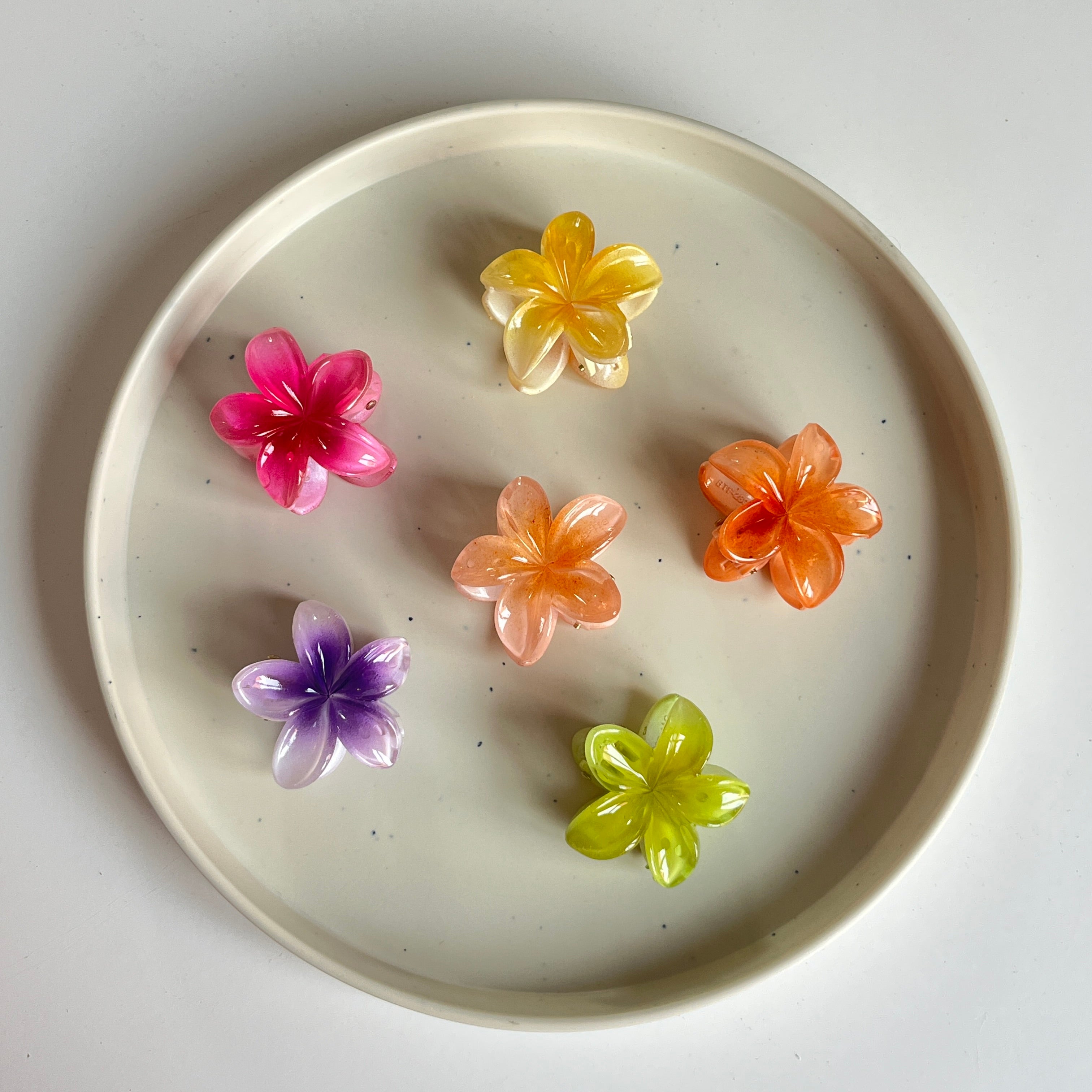 Gloss Bloom Flower Small Hair Claw Set (6 Pcs)