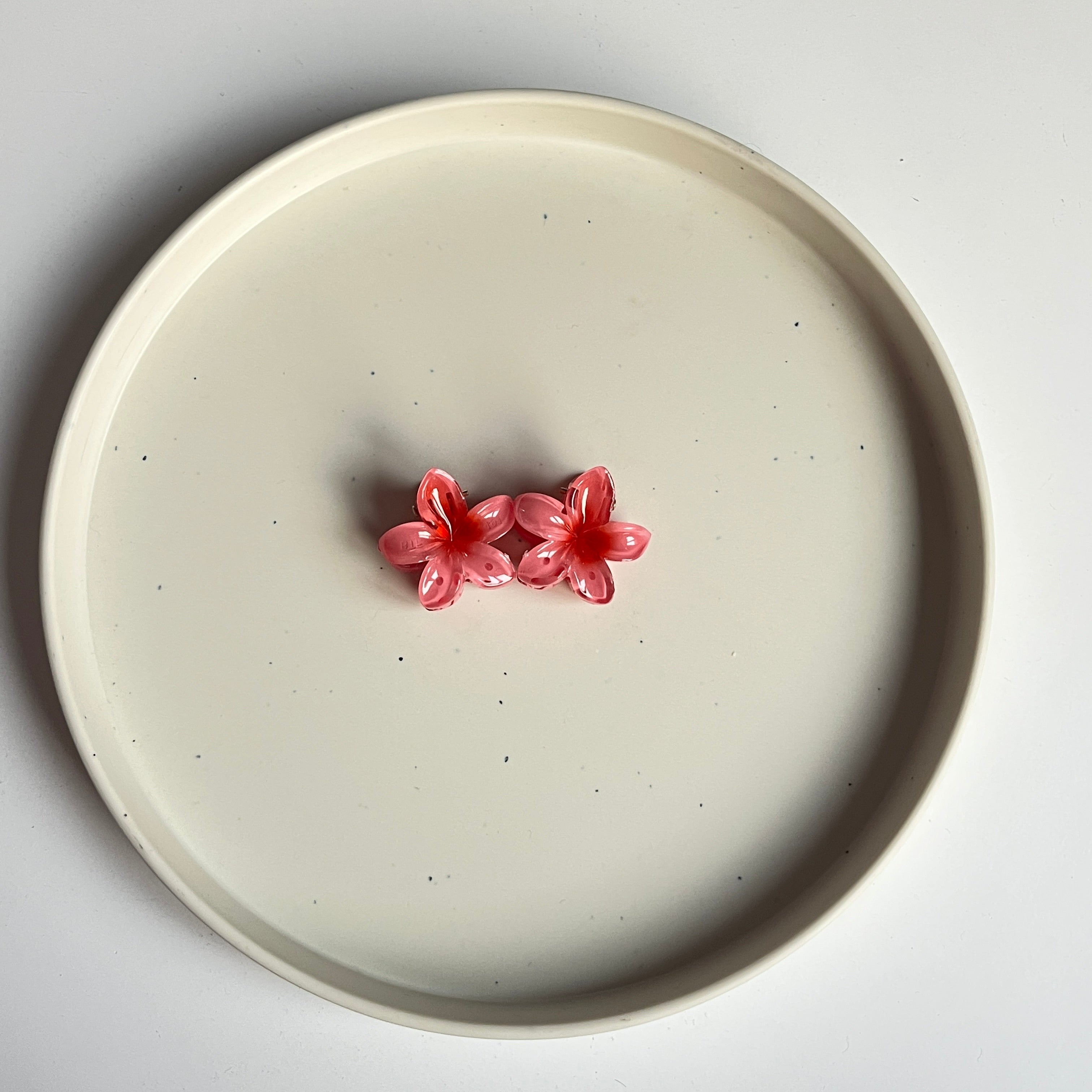 Ombre Bloom Mini Hair Claw Set (2 Pcs)