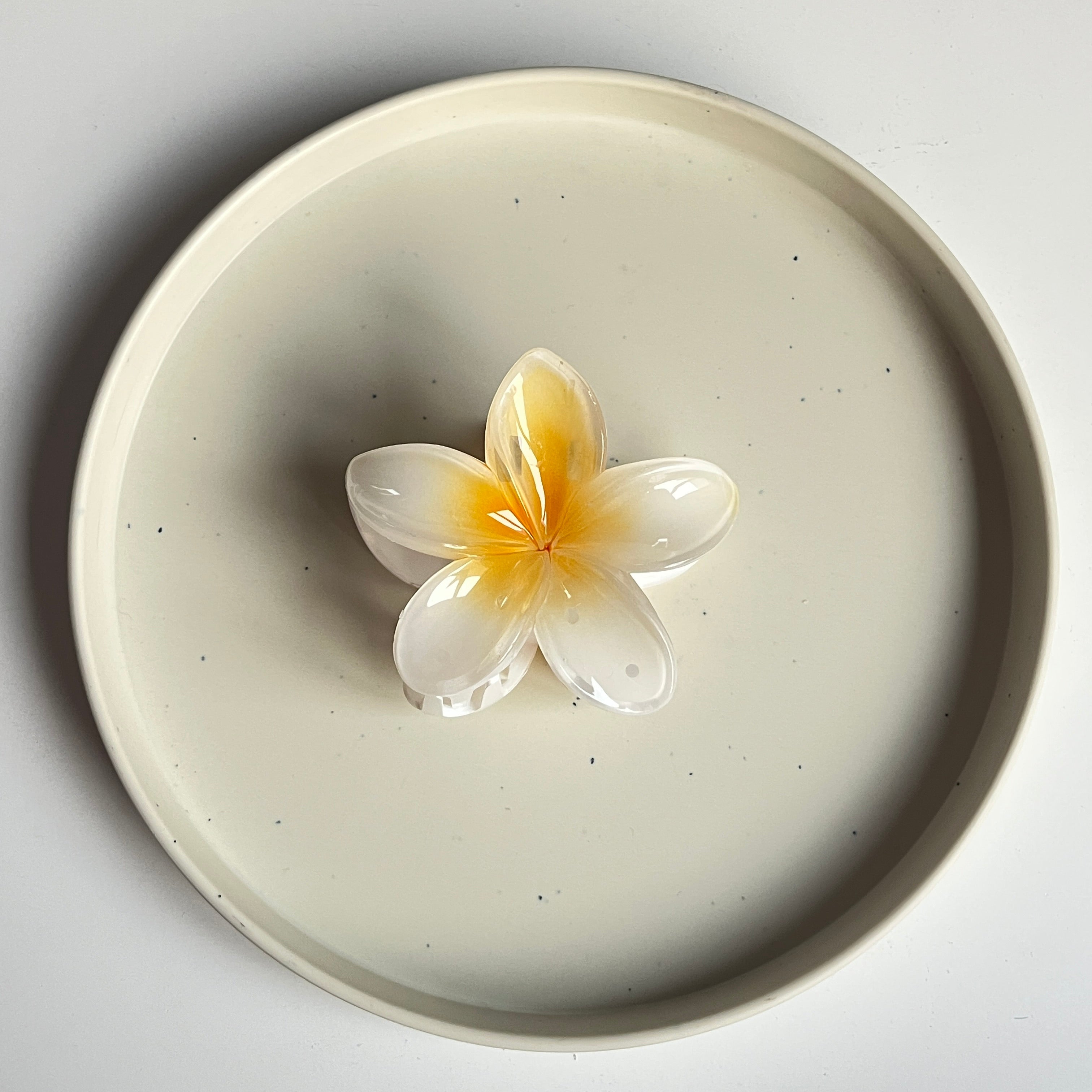 Ombre Bloom Large Hair Claw