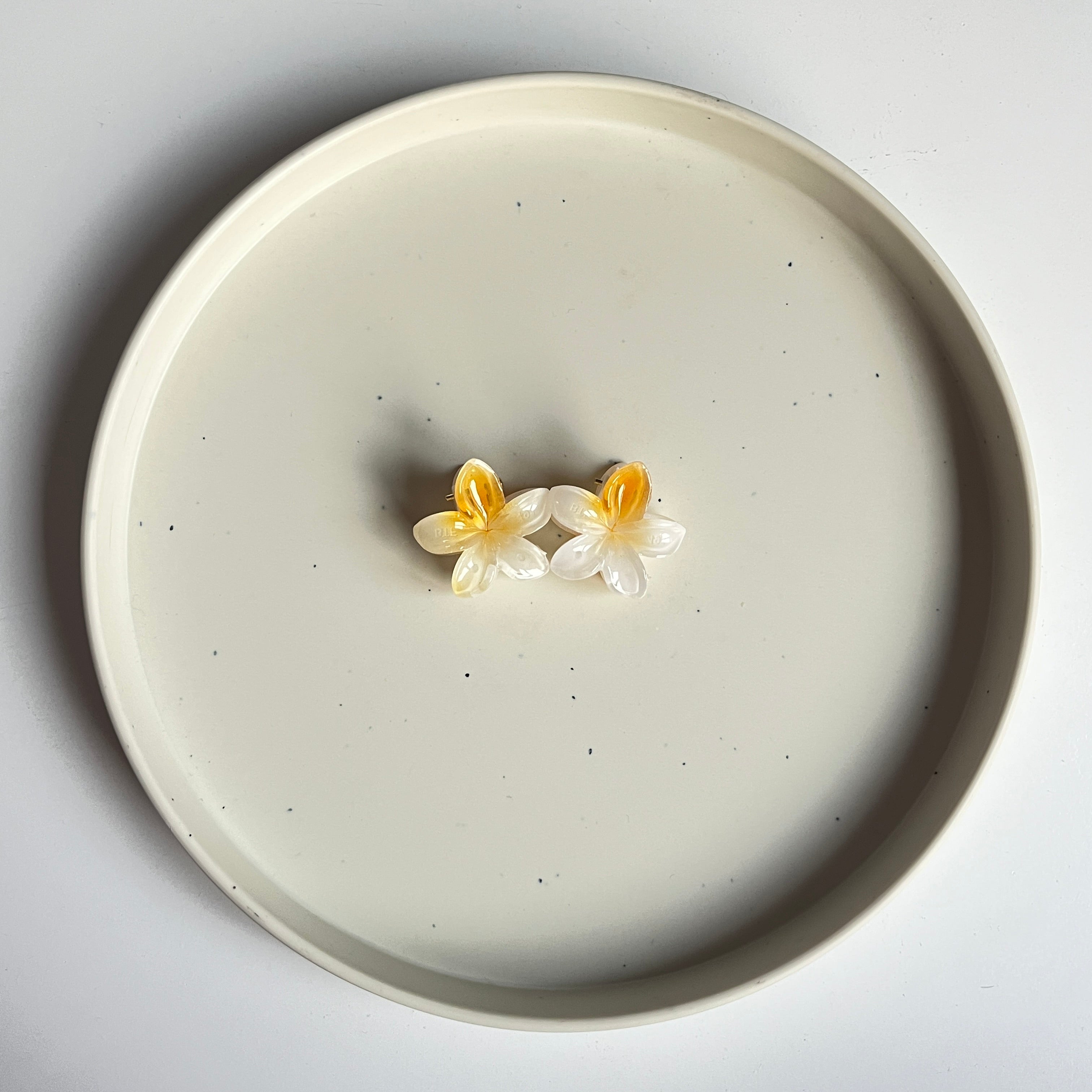 Ombre Bloom Mini Hair Claw Set (2 Pcs)