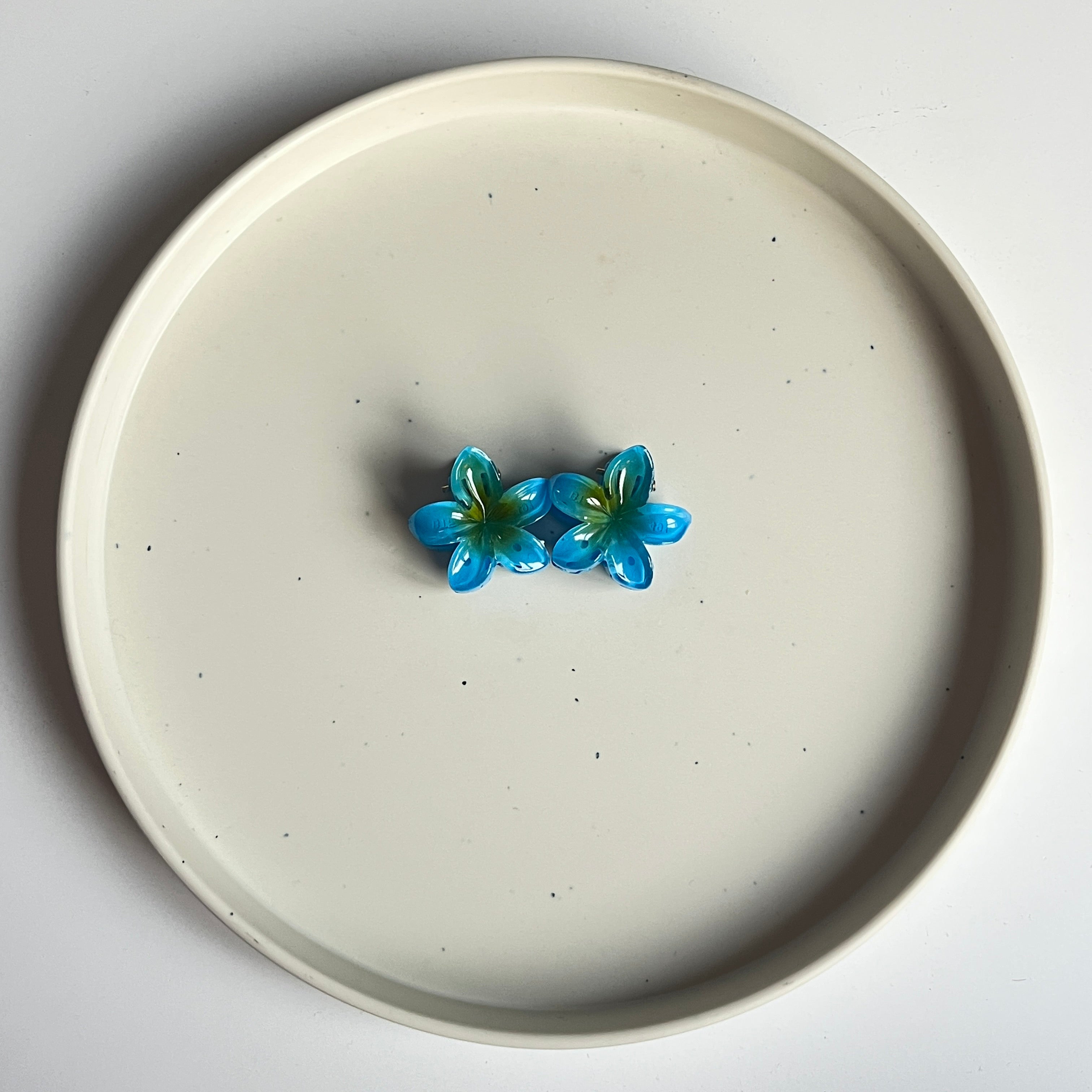 Ombre Bloom Mini Hair Claw Set (2 Pcs)