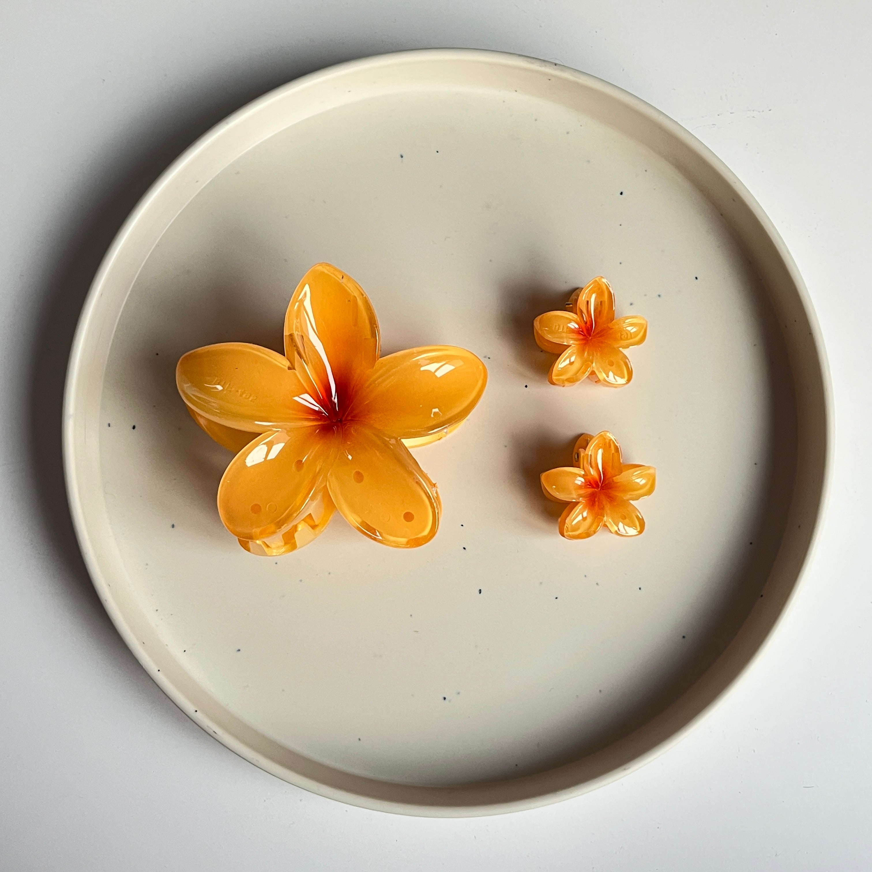 Ombre Bloom Hair Claw Set (3 Pcs)