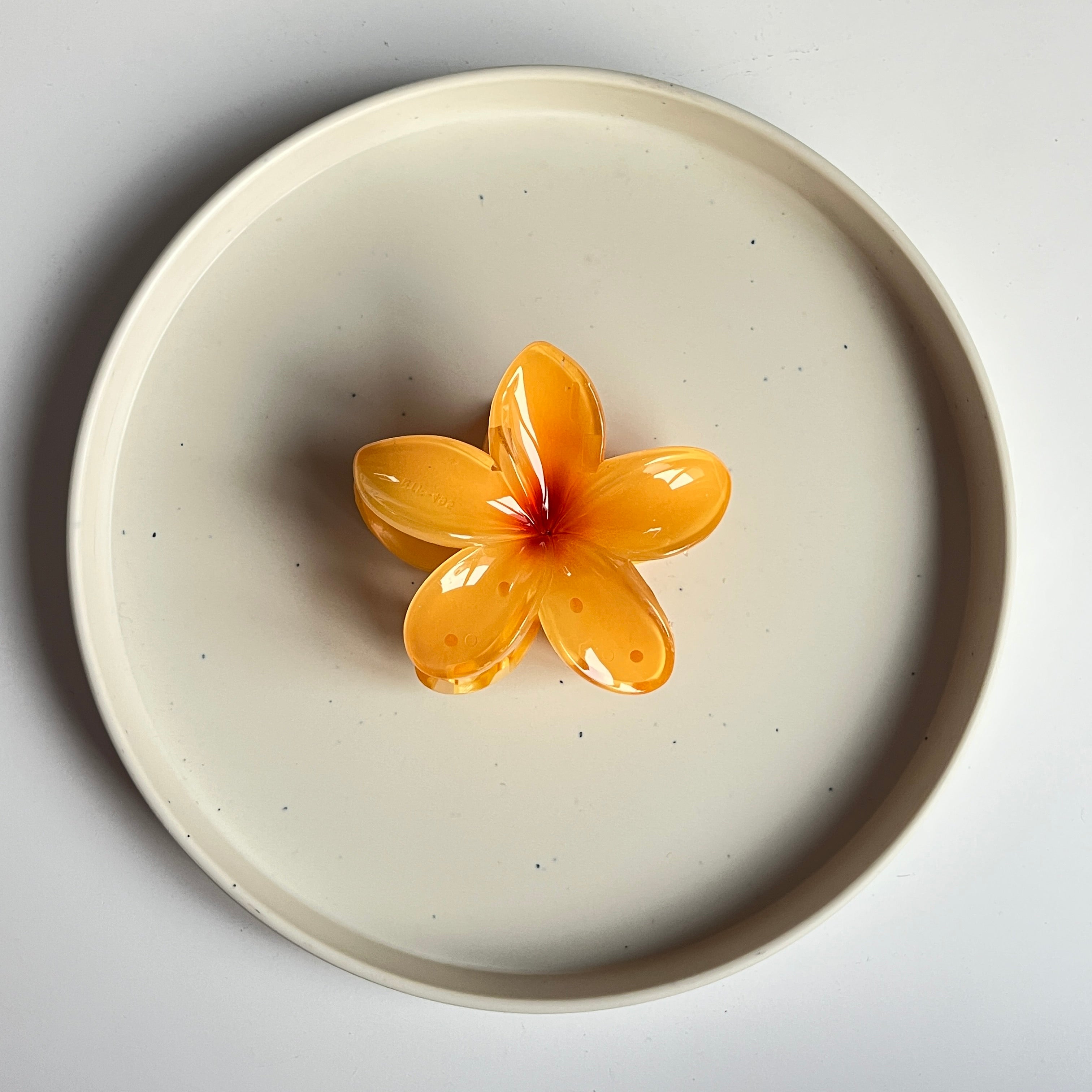 Ombre Bloom Large Hair Claw