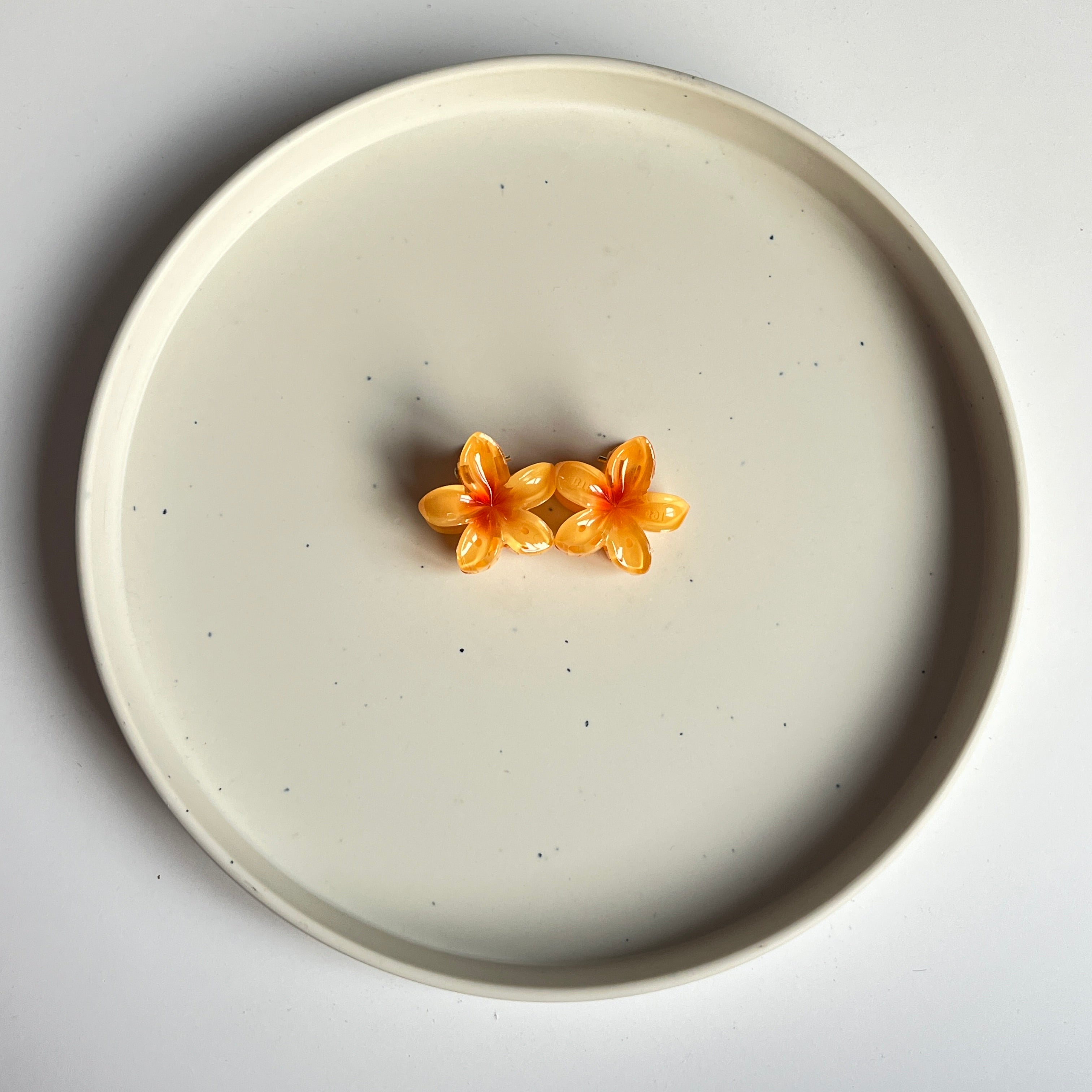 Ombre Bloom Mini Hair Claw Set (2 Pcs)