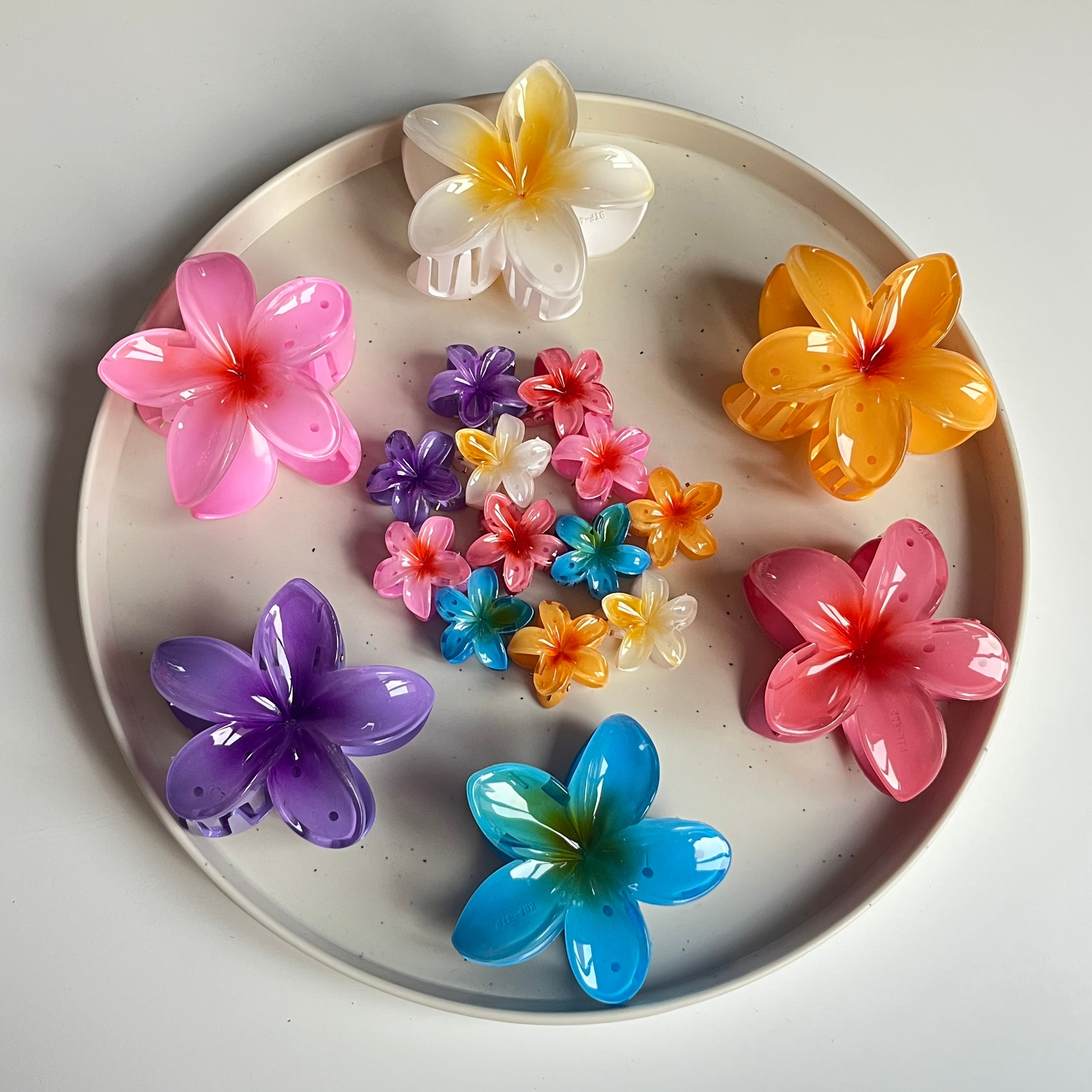 Ombre Bloom Full Collection (18 Pcs)