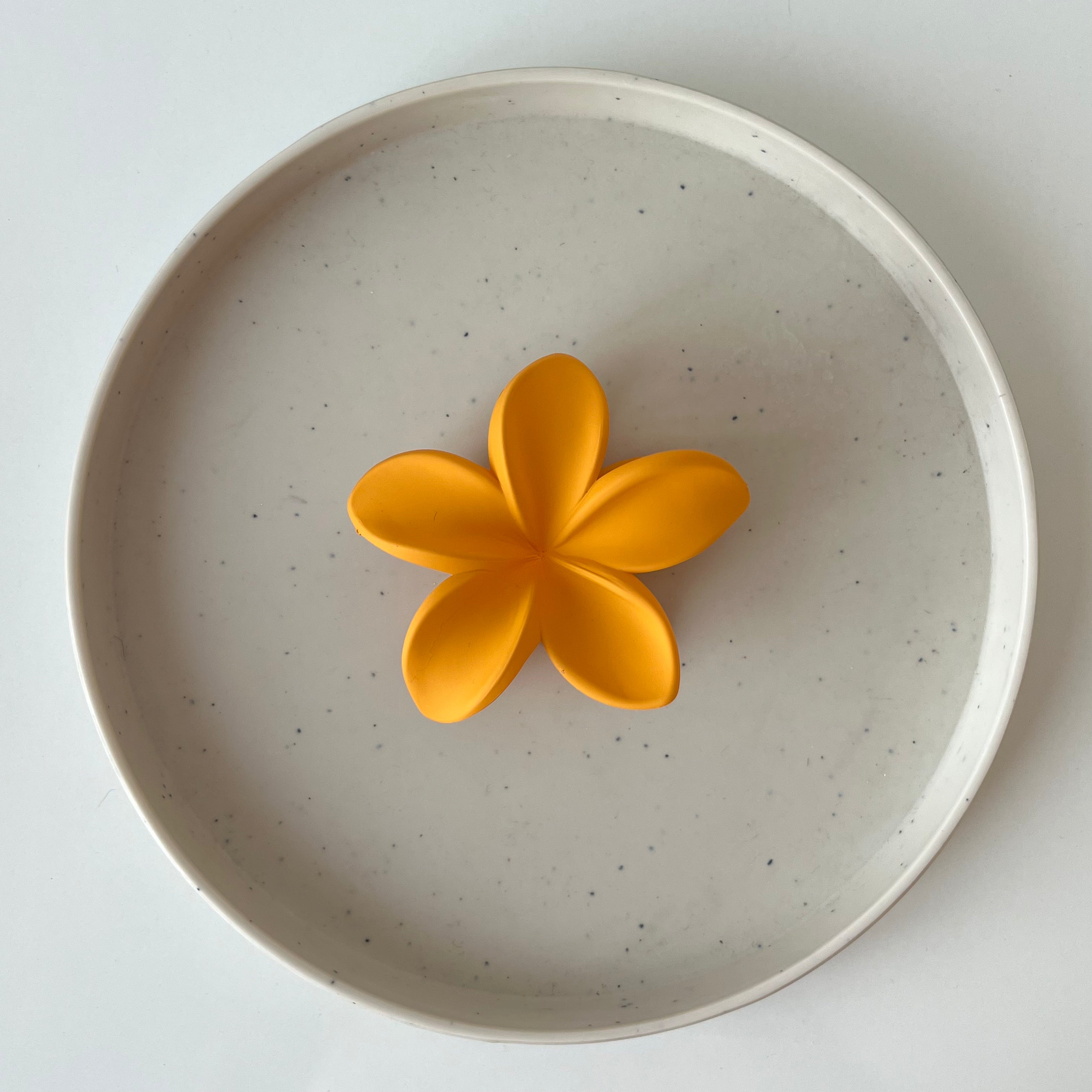 Maranta Claw Clip – Large