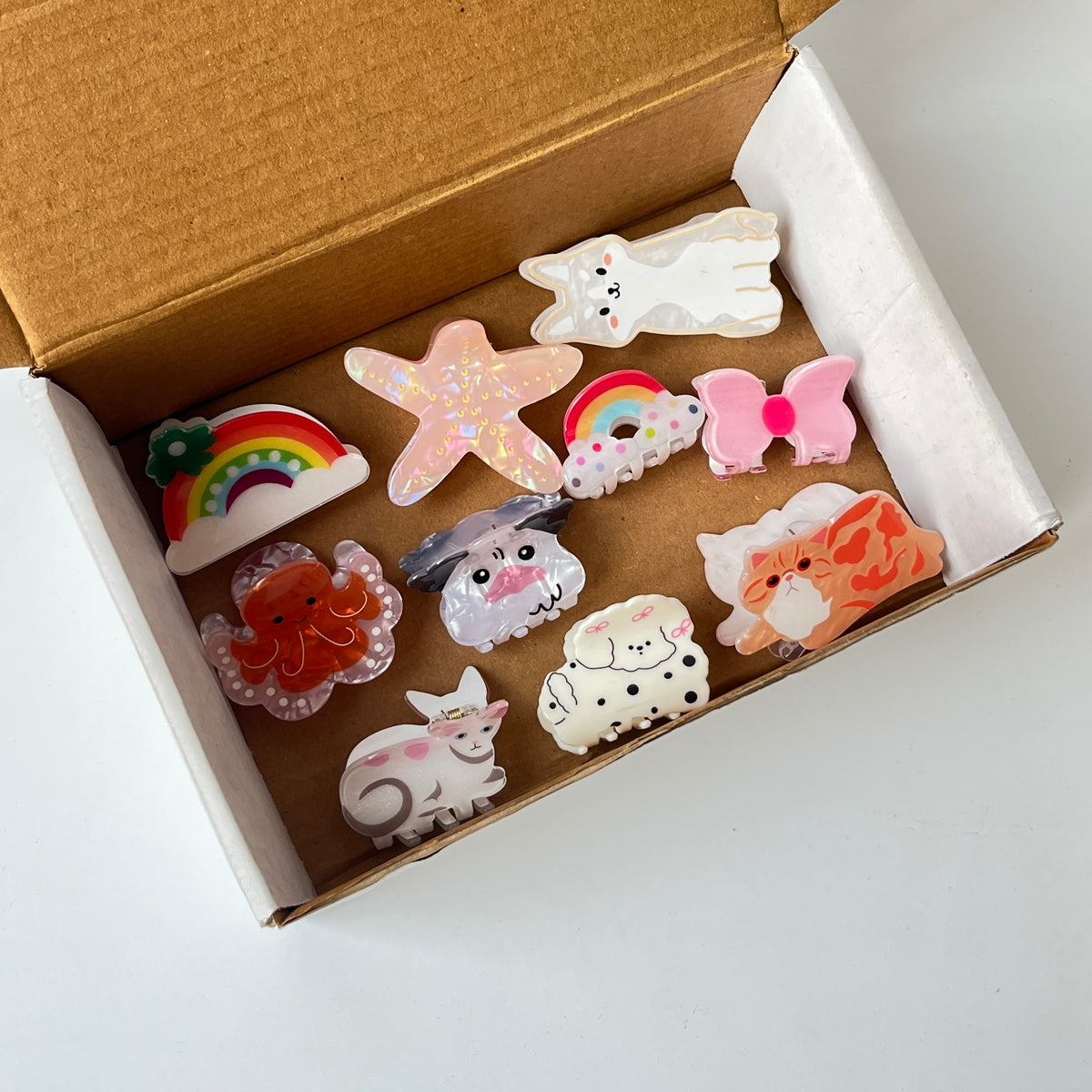 Sweet Character Garden Combo – Set of 10